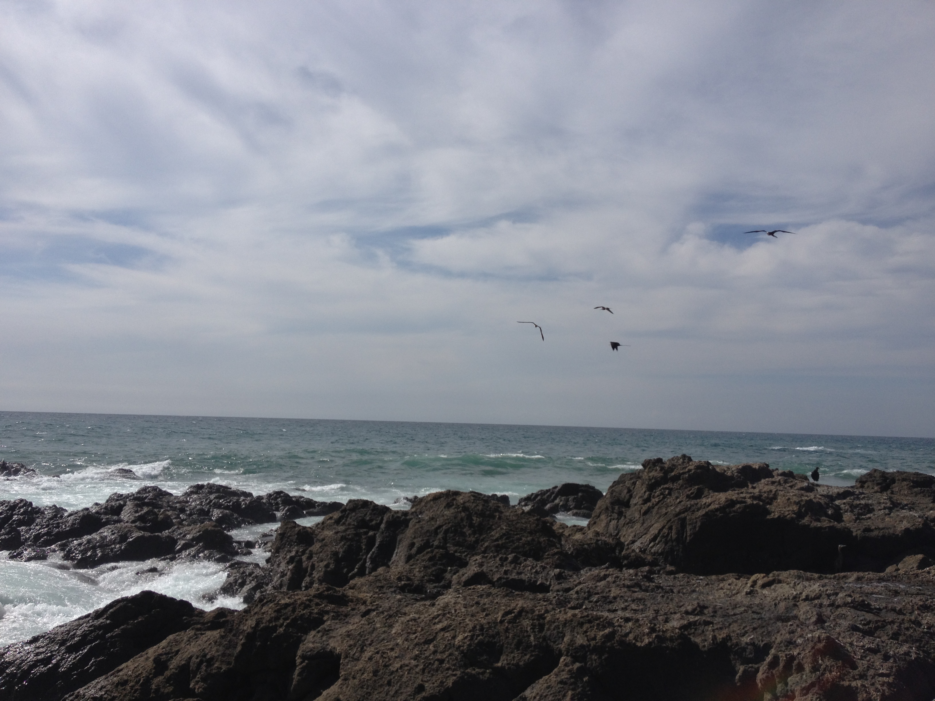 Photo Costa Rica Montezuma 2015-03 120