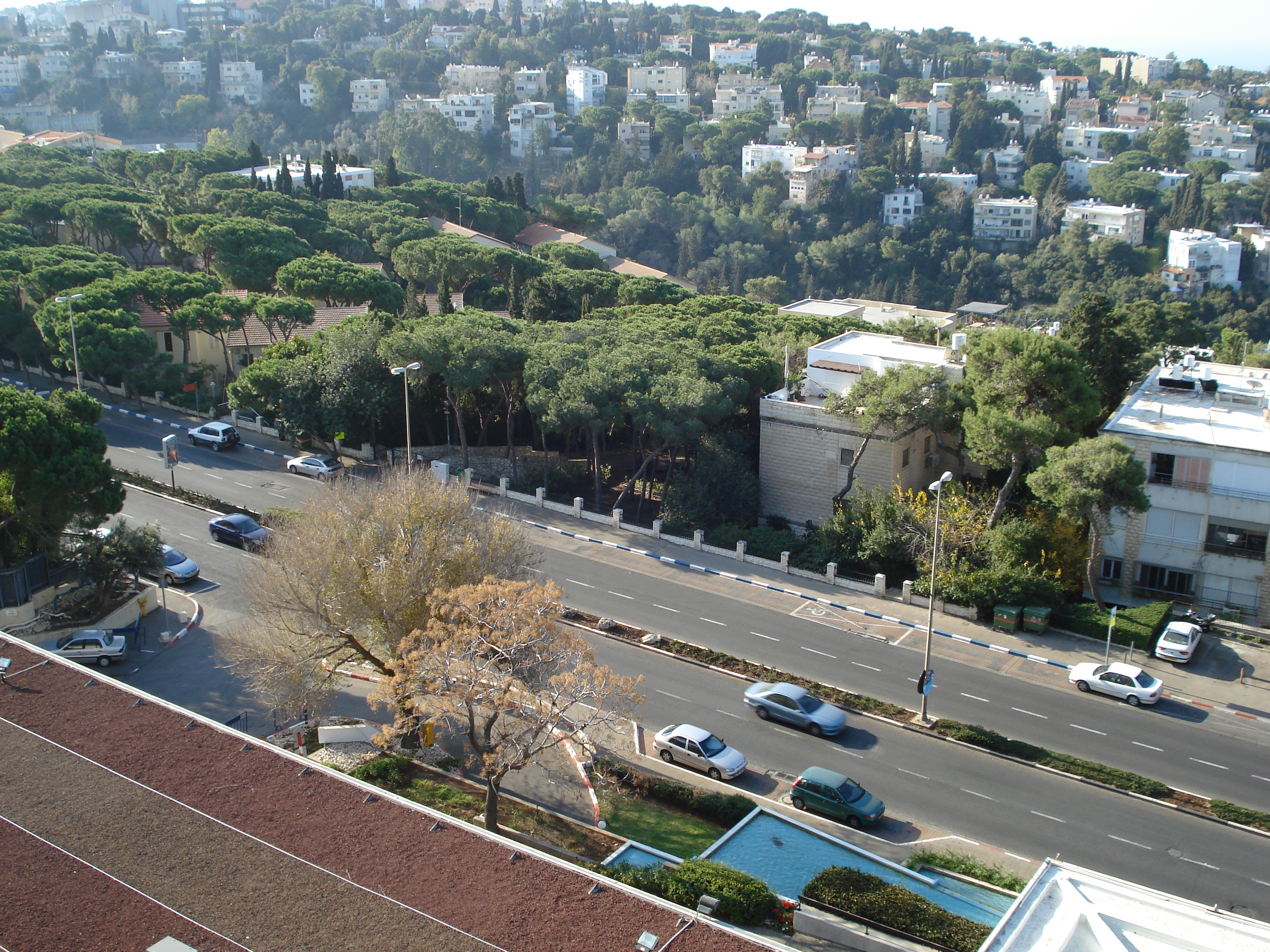 Photo Israel Haifa Hotel Dan Carmel 2006-12 6