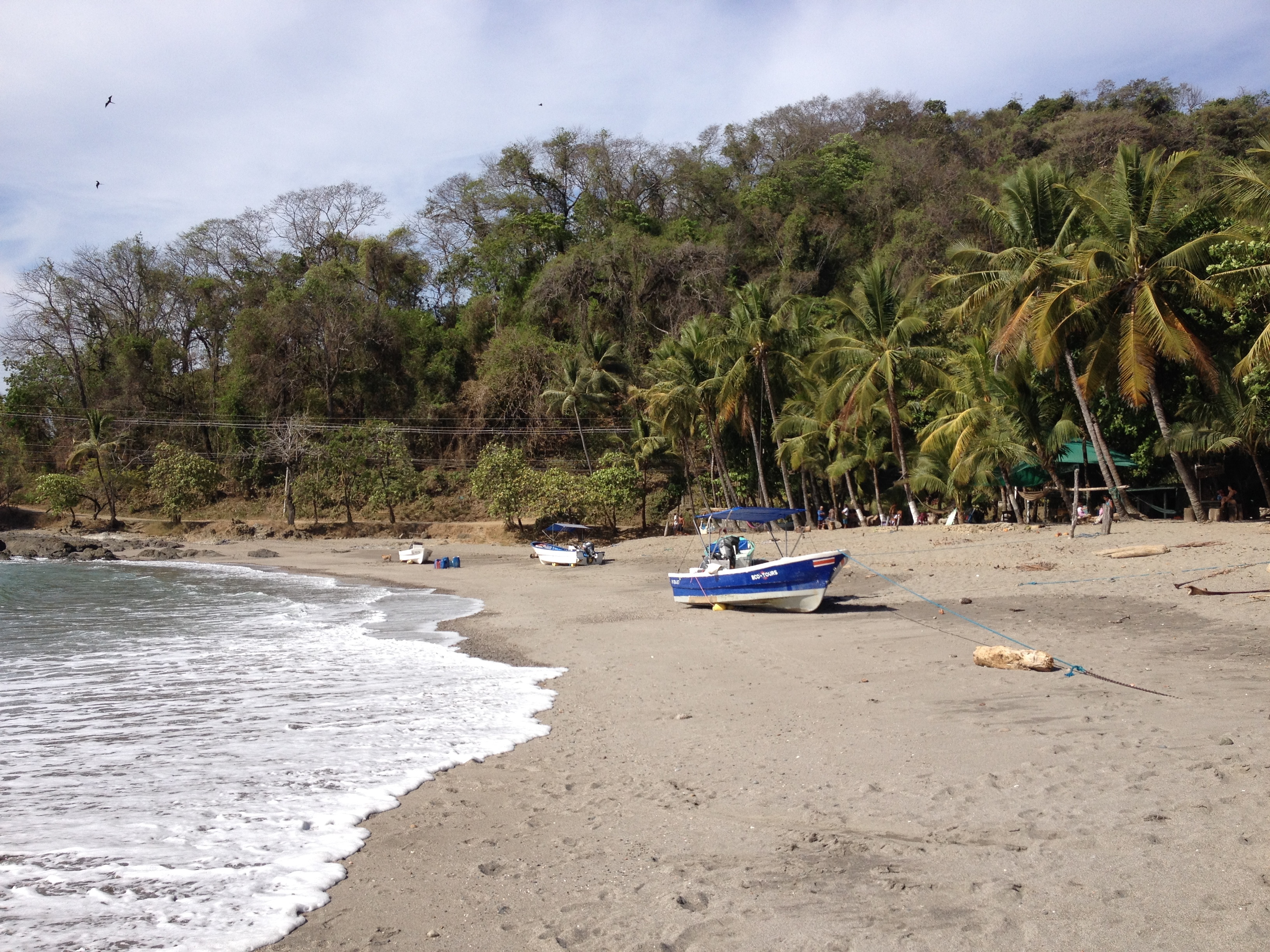 Photo Costa Rica Montezuma 2015-03 43