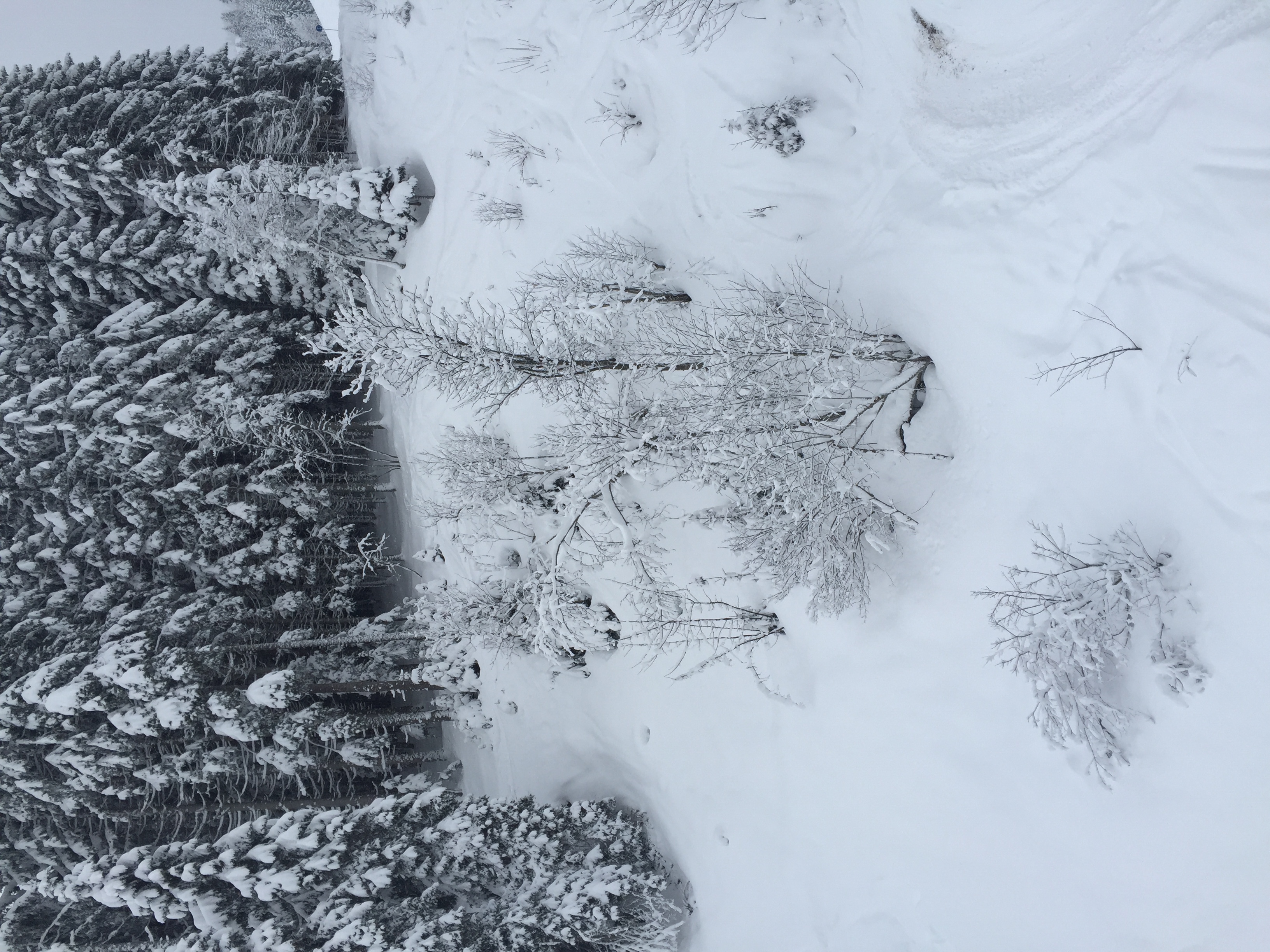 Photo France Megève 2016-02 9