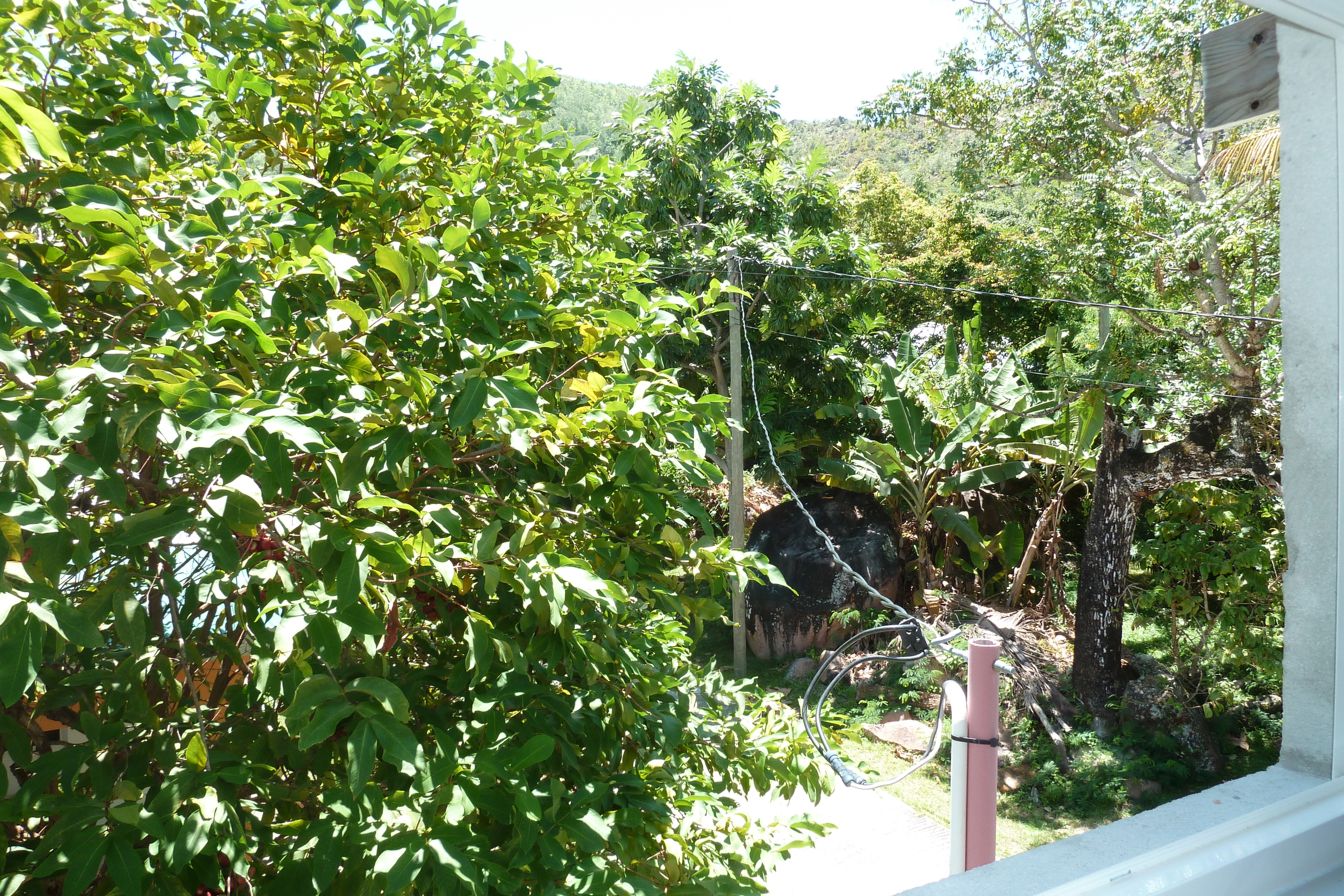 Photo Seychelles Anse Possession 2011-10 101