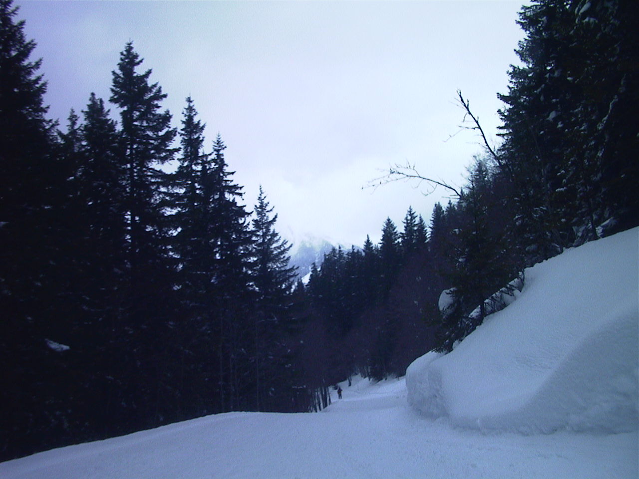 Photo Suisse Grindelwald 1999-04 2