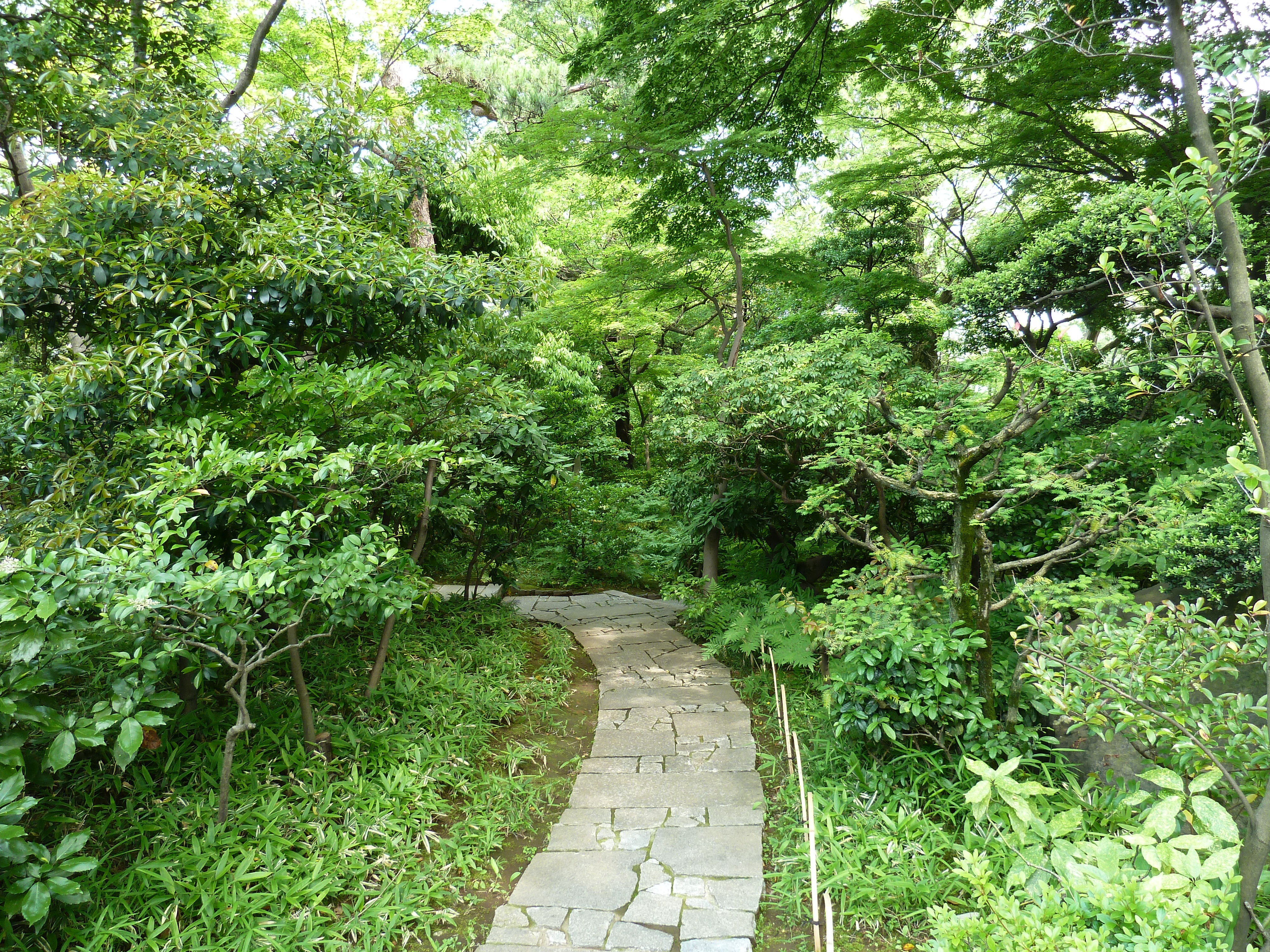 Photo Japon Tokyo Musée Nezu 2010-06 16