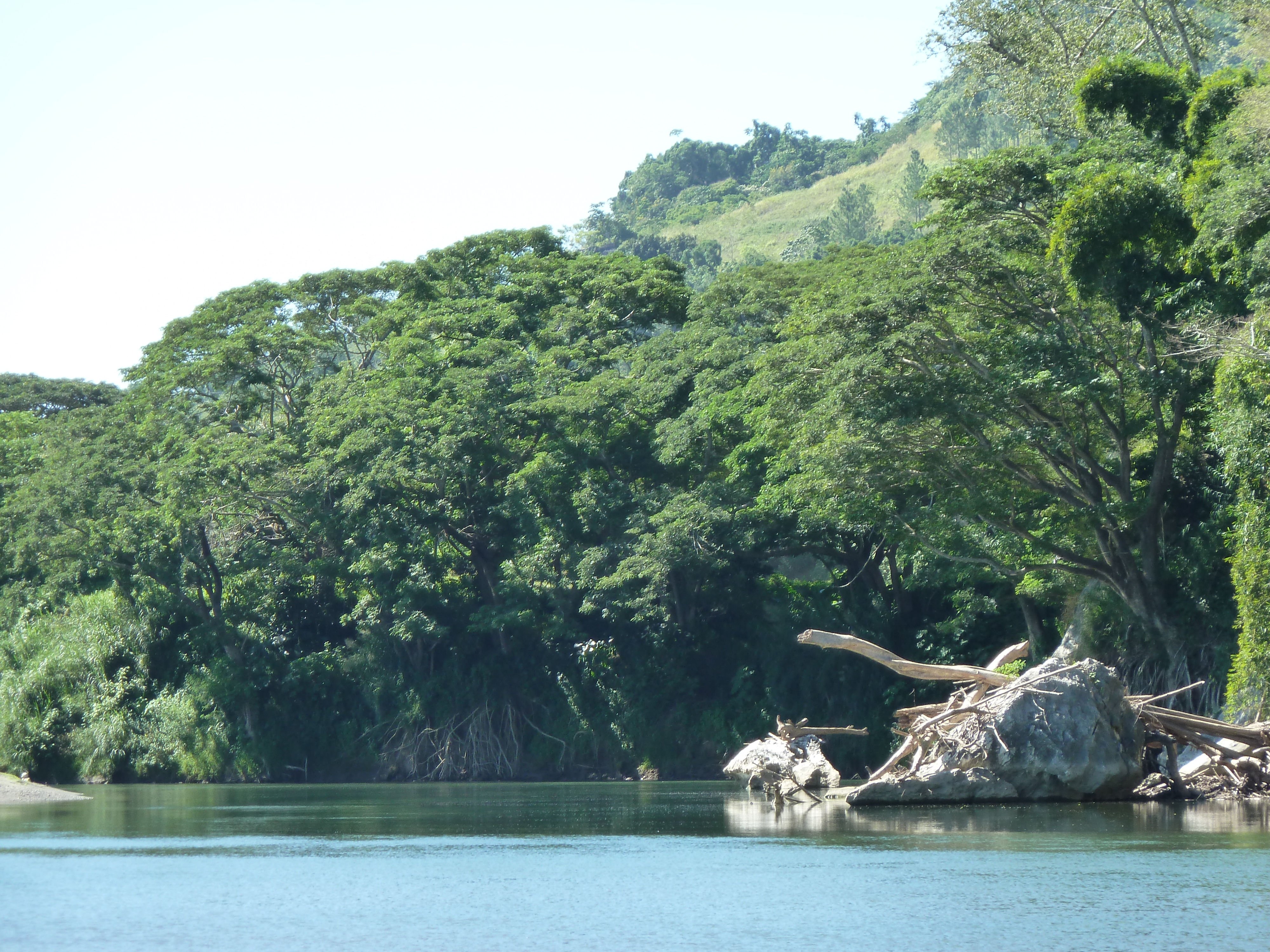 Photo Îles Fidji Rivière Sigatoka 2010-05 90