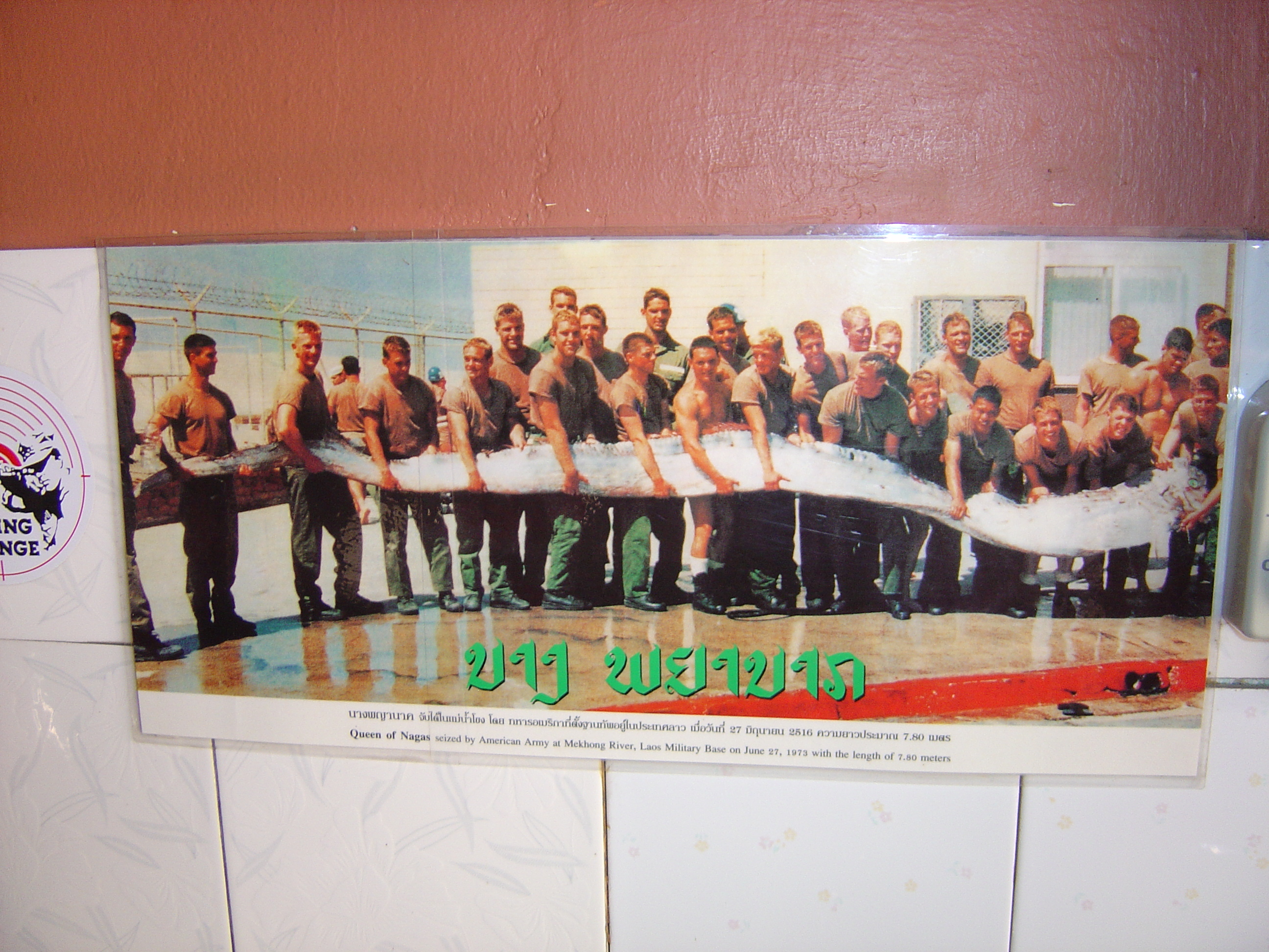 Photo Thaïlande Phuket Poisson geant 2005-12 1