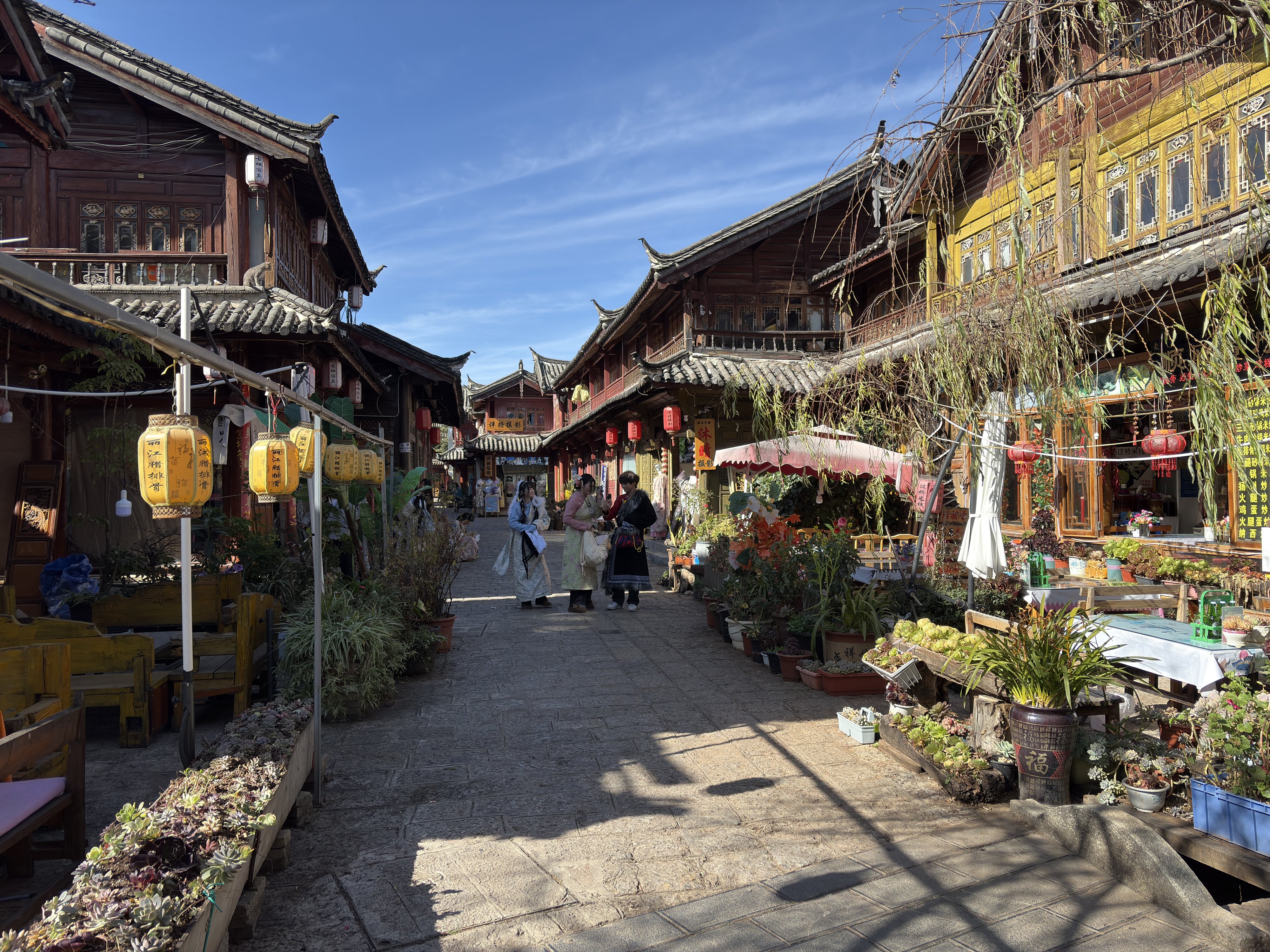 Photo Chine Lijiang 2026-01 691