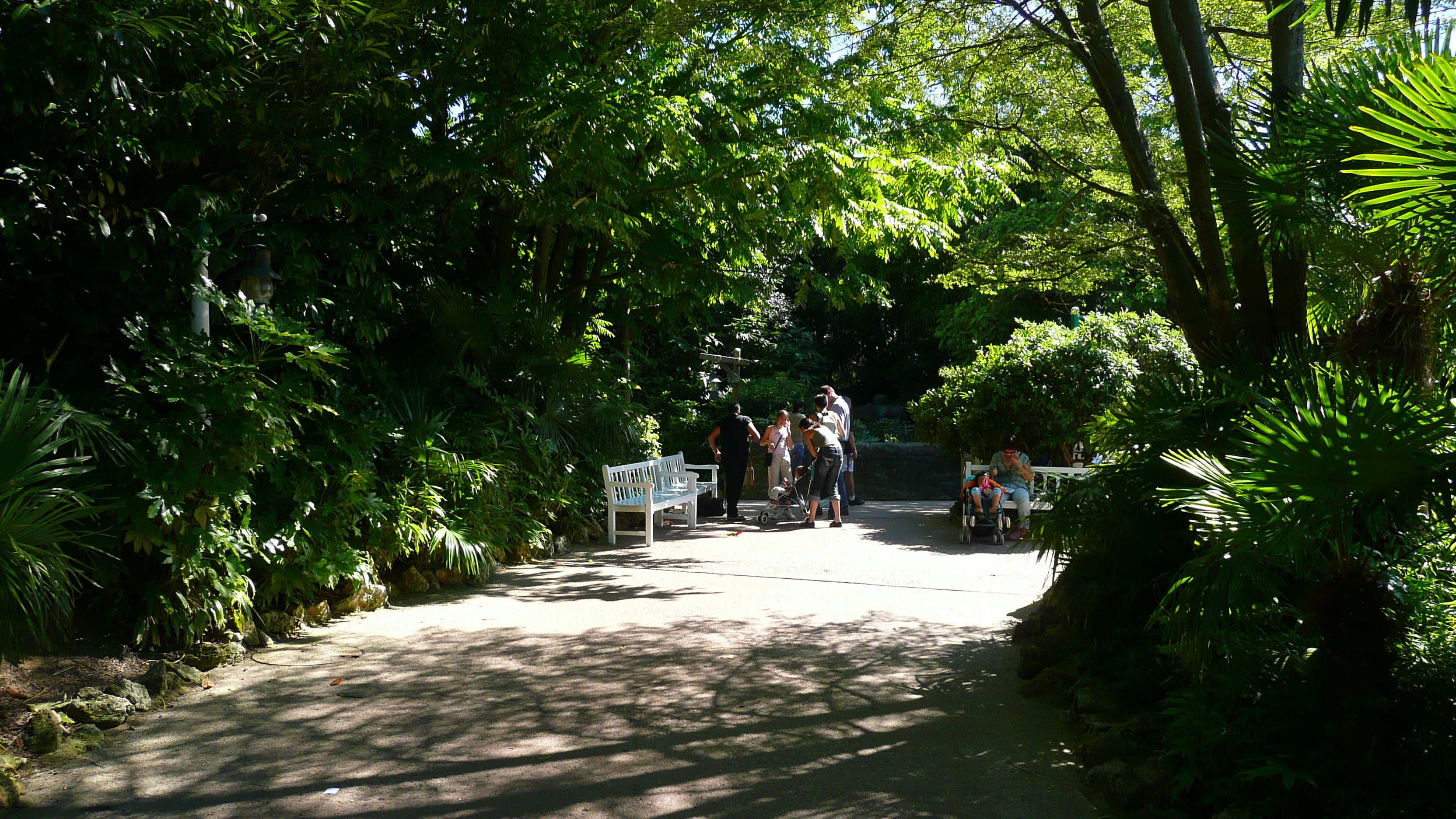 Photo France Disneyland Paris Adventureland 2007-07 91