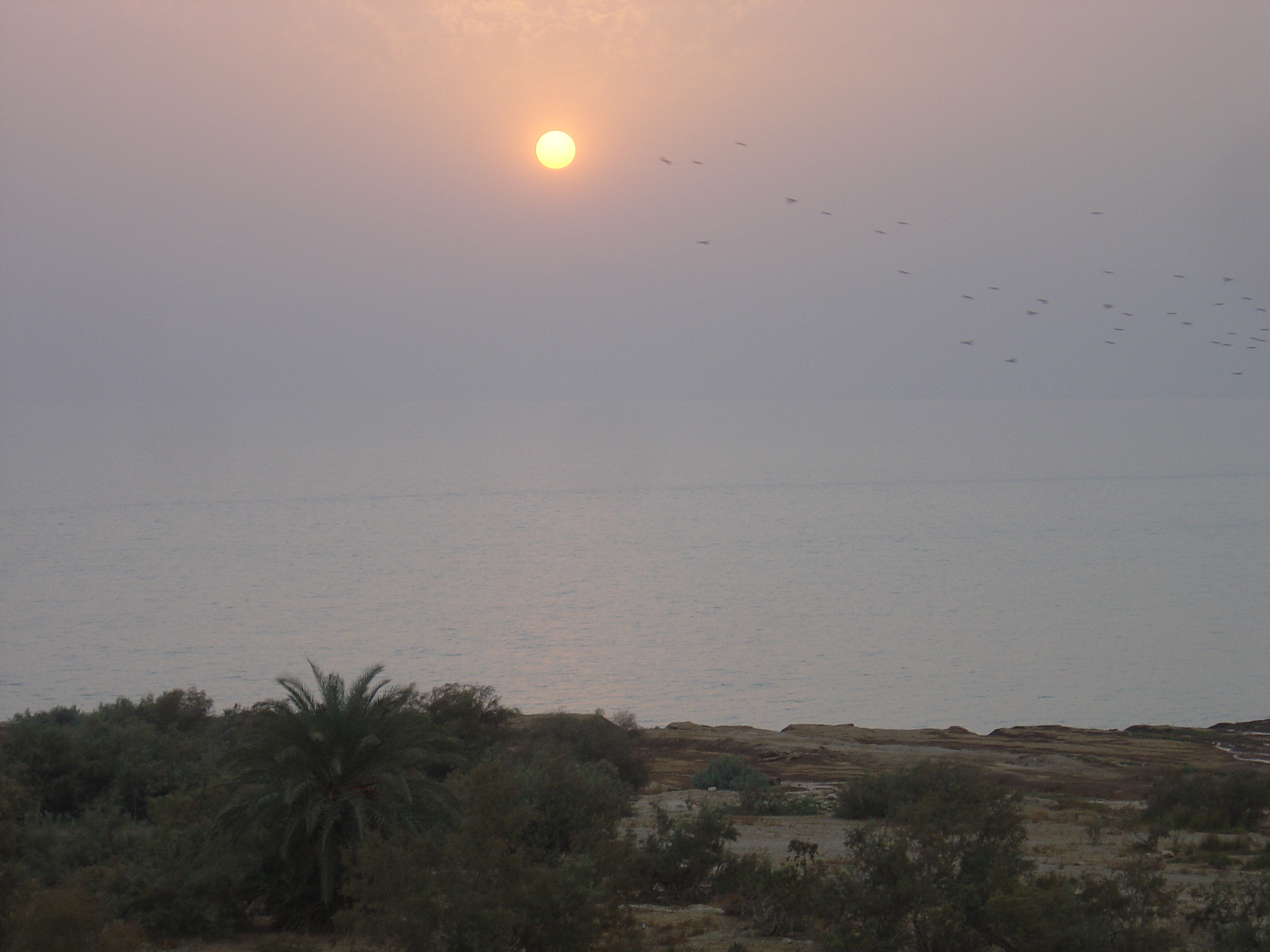 Photo Jordanie Mer Morte 2004-11 13