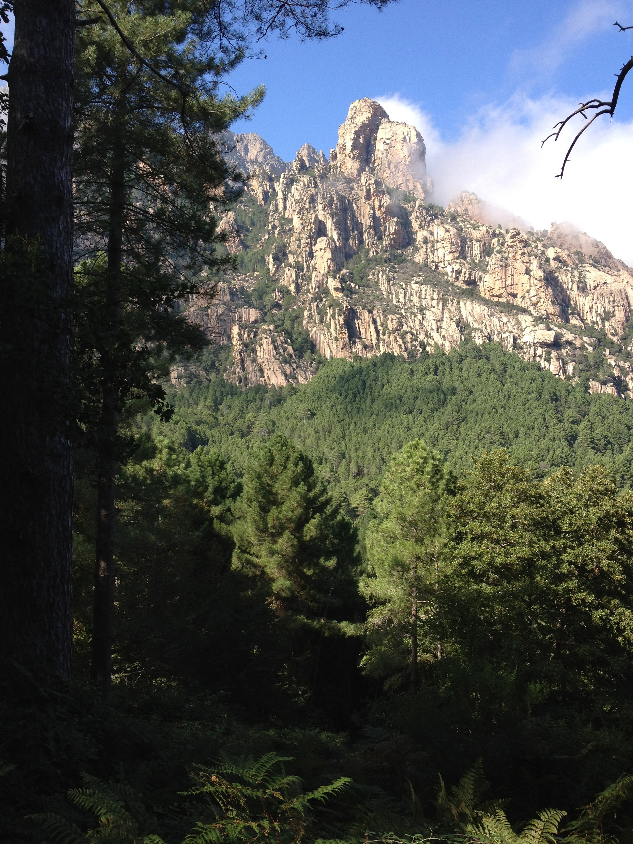 Photo France Corse Bavella 2012-09 87