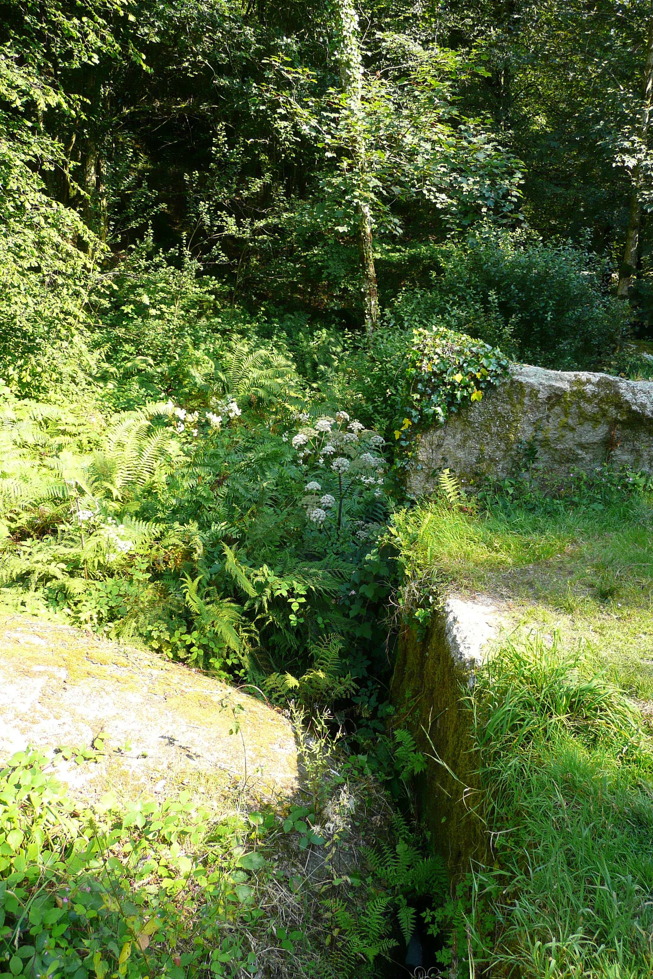 Photo France Huelgoat 2007-08 36