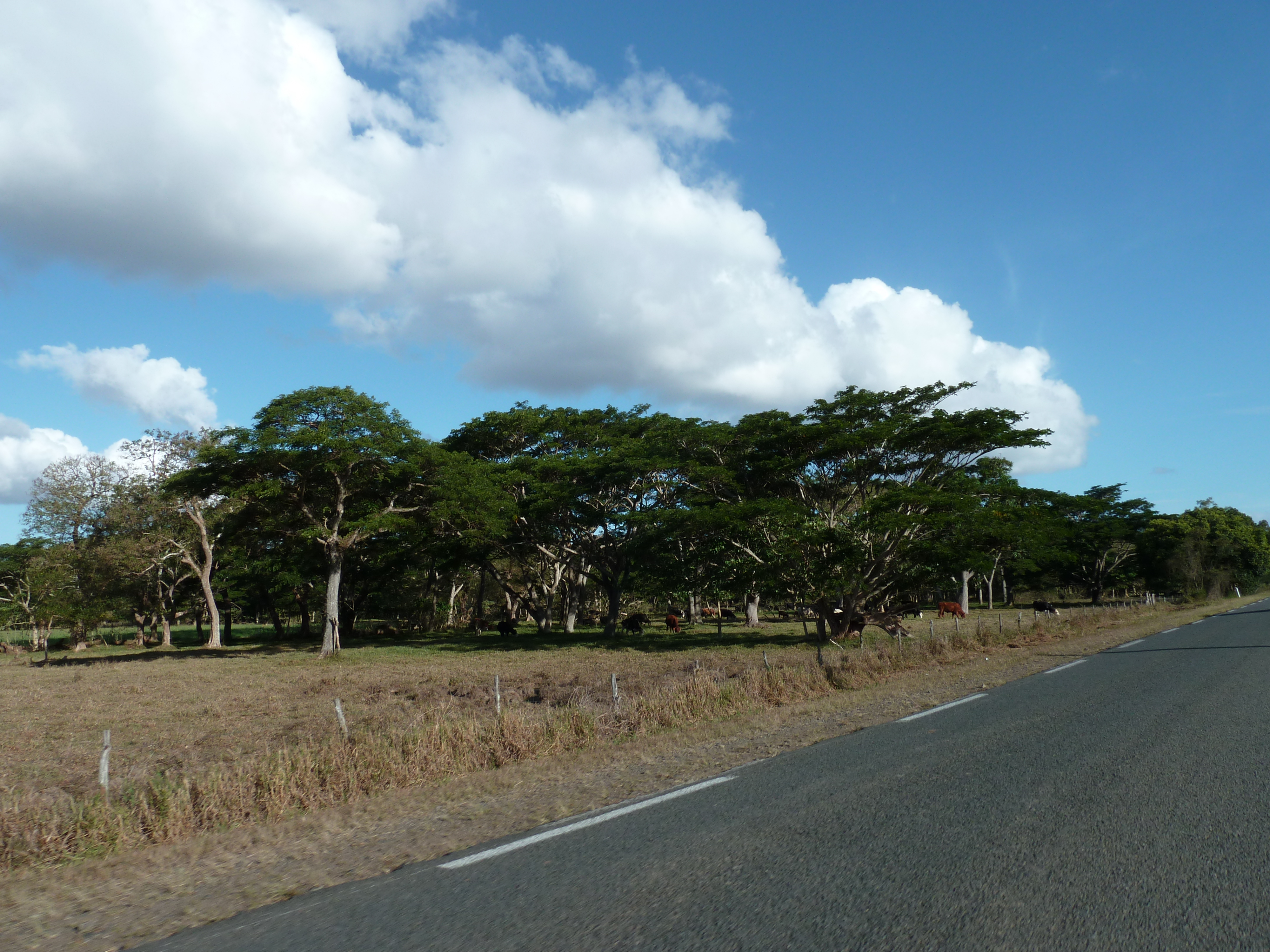 Photo Nouvelle-Calédonie route de Canala à La Foa 2010-05 39