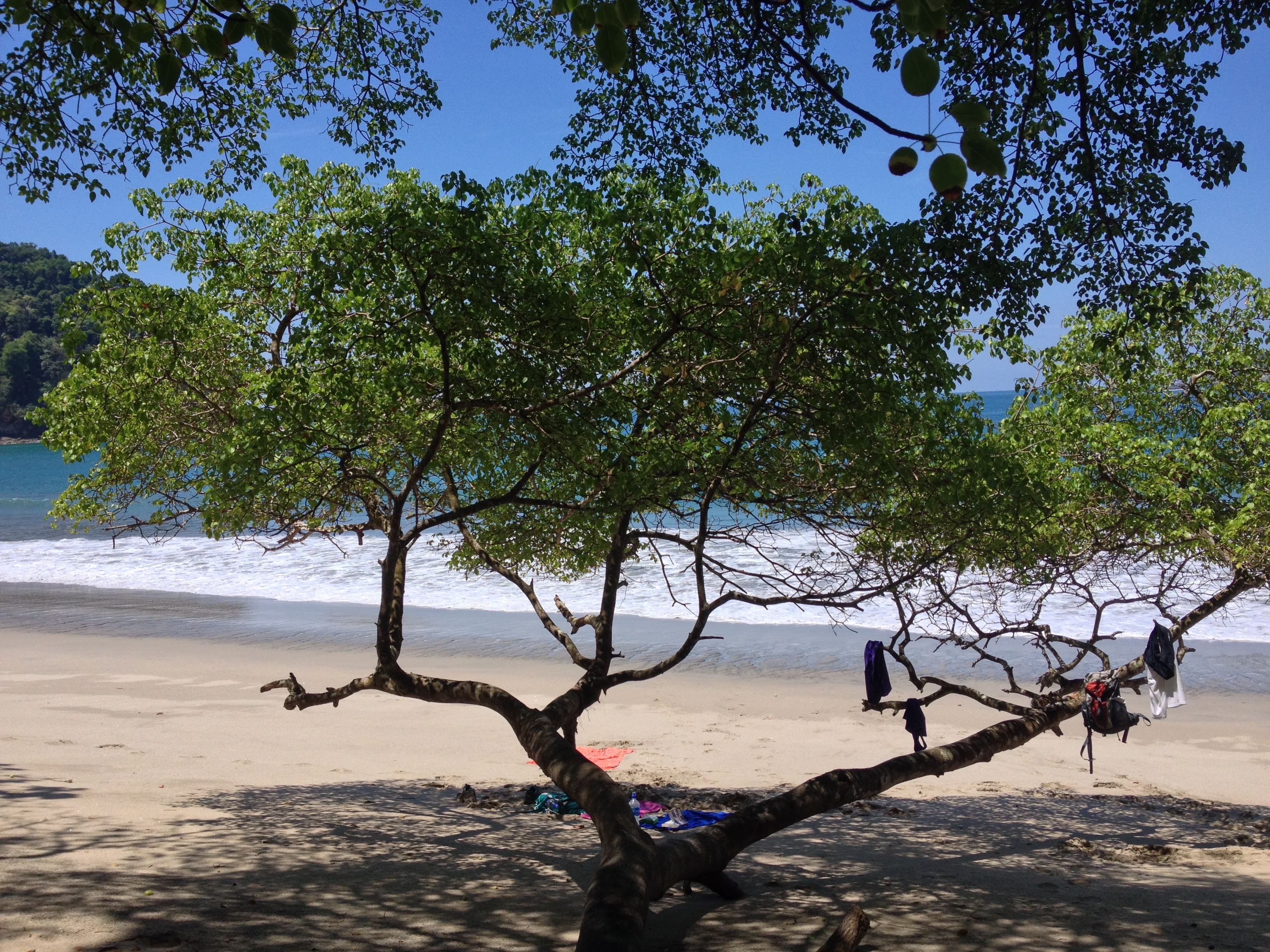 Photo Costa Rica Parc Manuel Antonio 2015-03 154