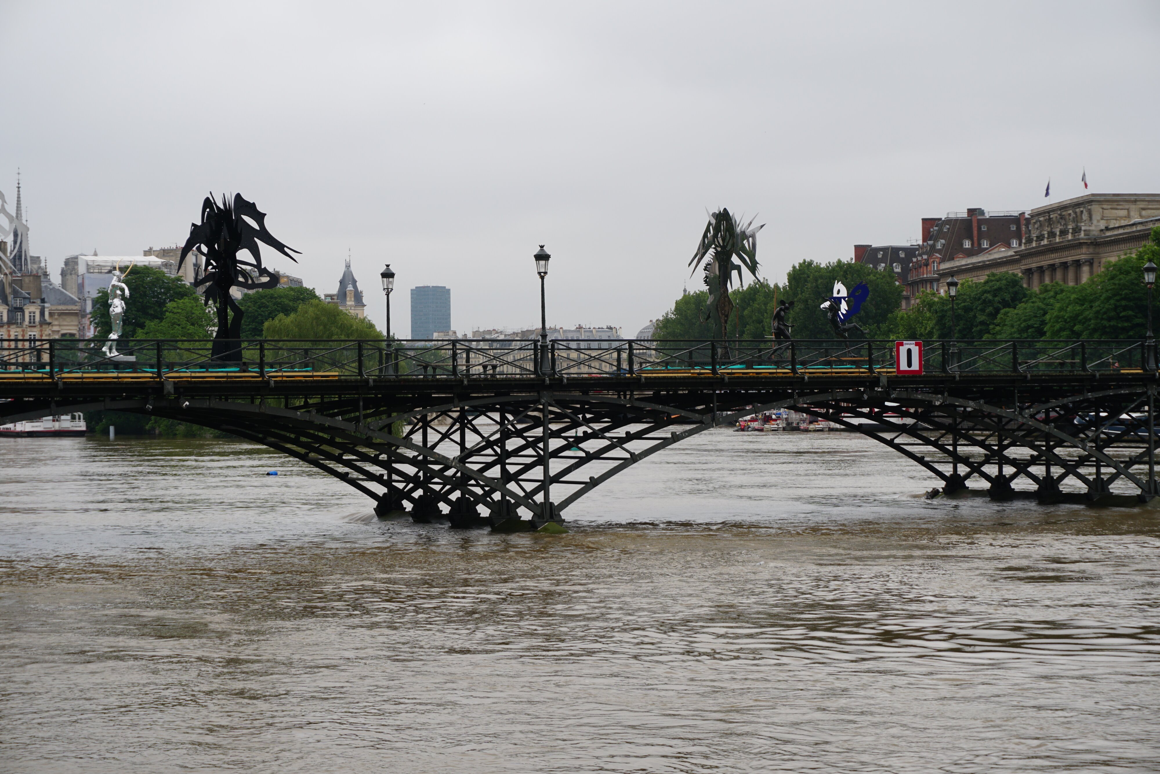Photo France Paris La Seine 2016-06 28