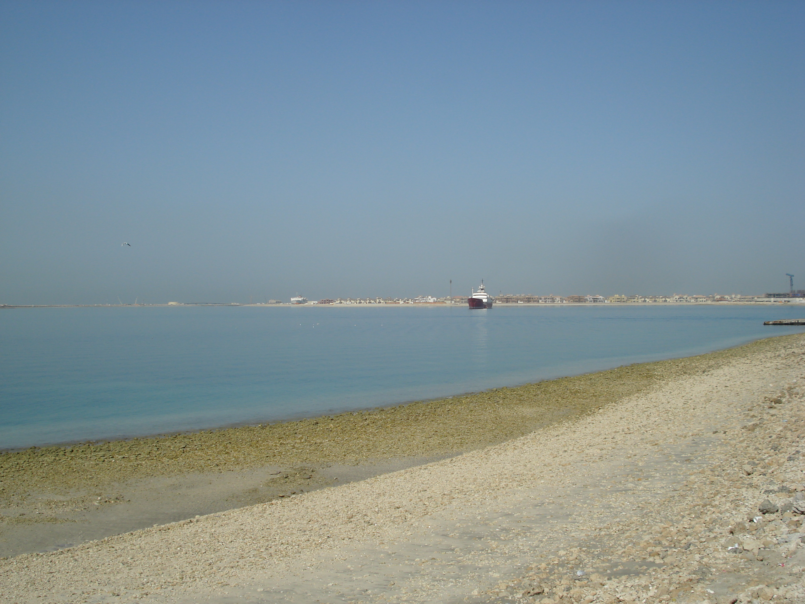 Photo Émirats arabes unis Dubai Plage de Jumeira 2007-03 15