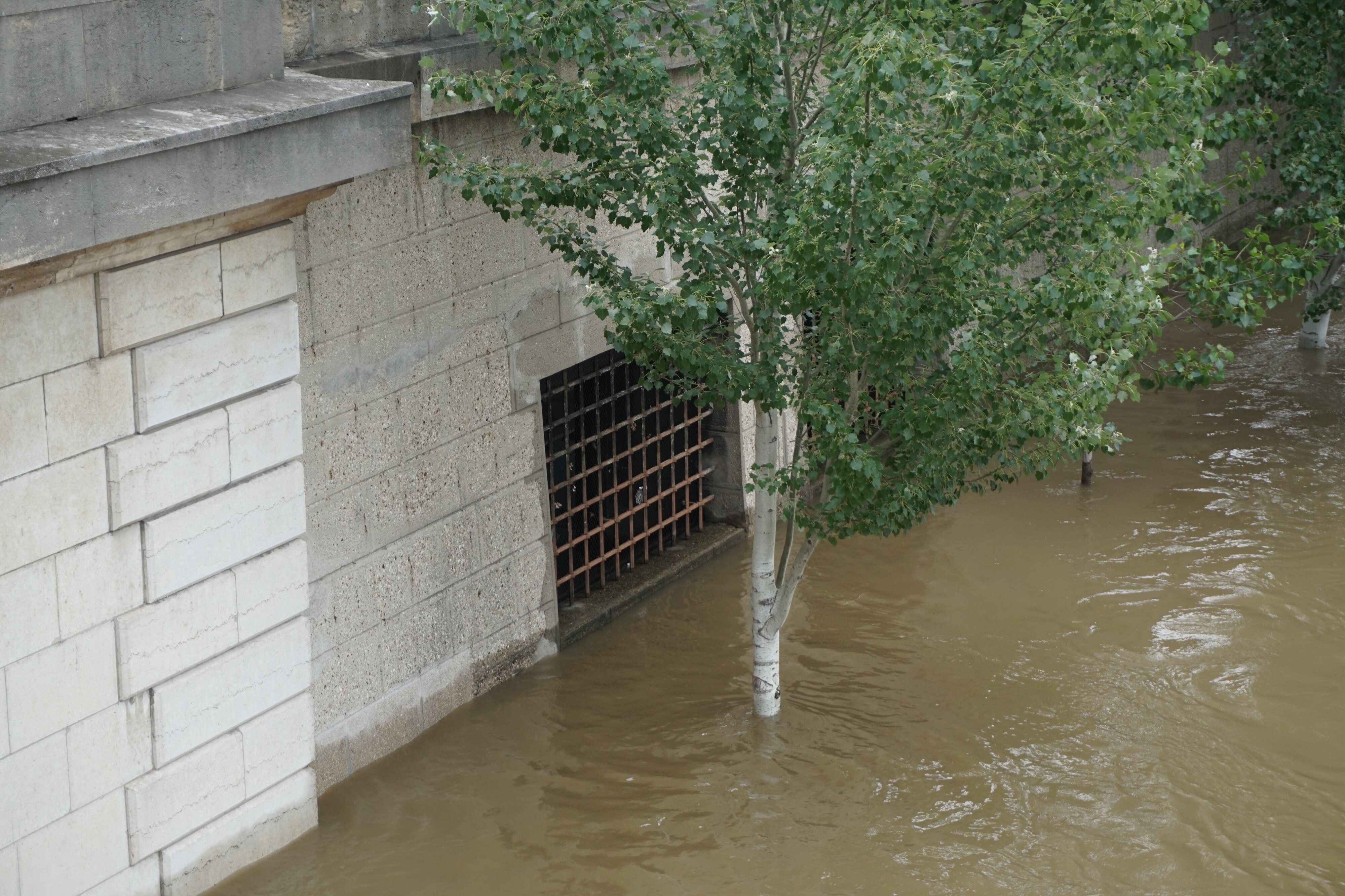 Photo France Paris La Seine 2016-06 4