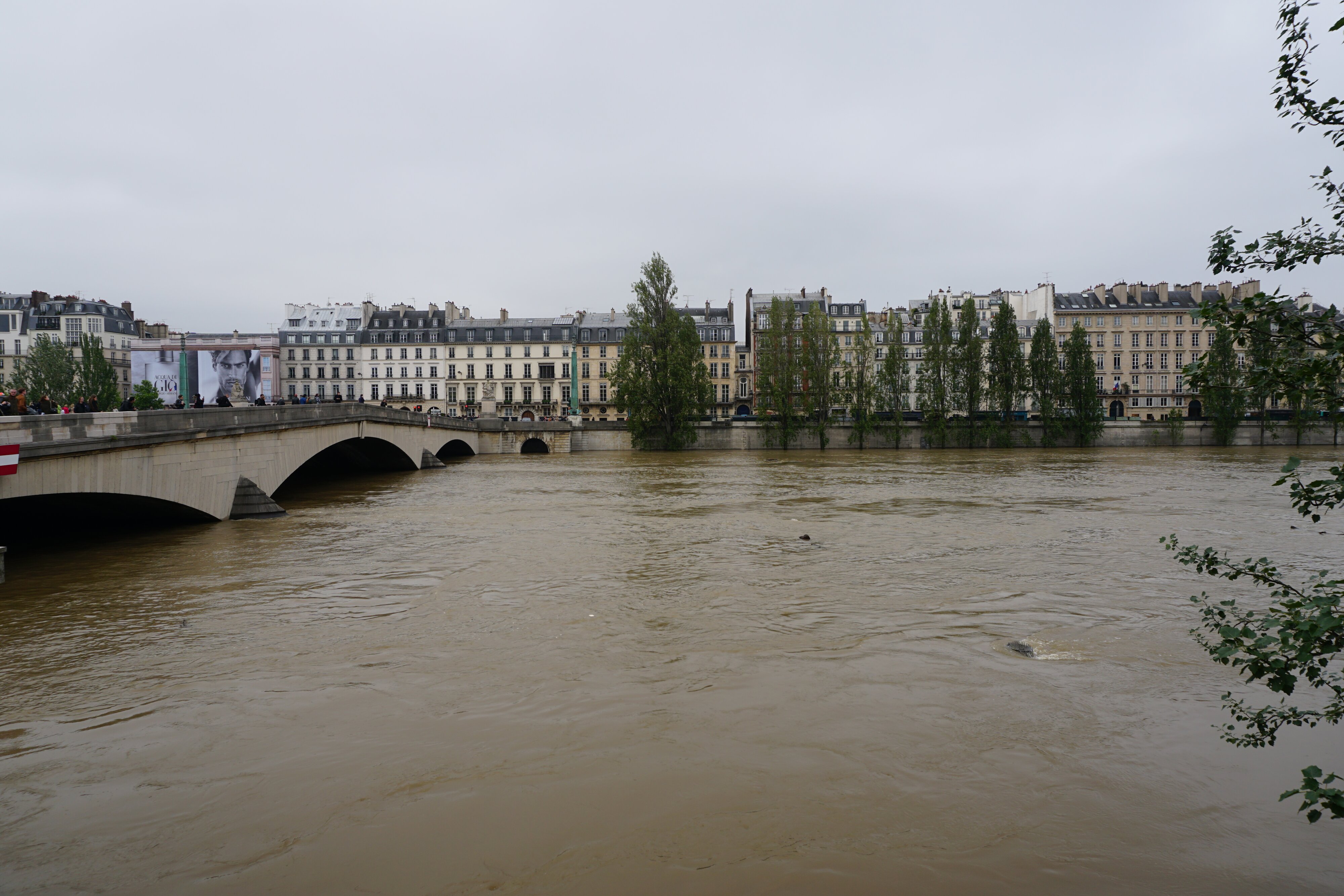 Photo France Paris La Seine 2016-06 14