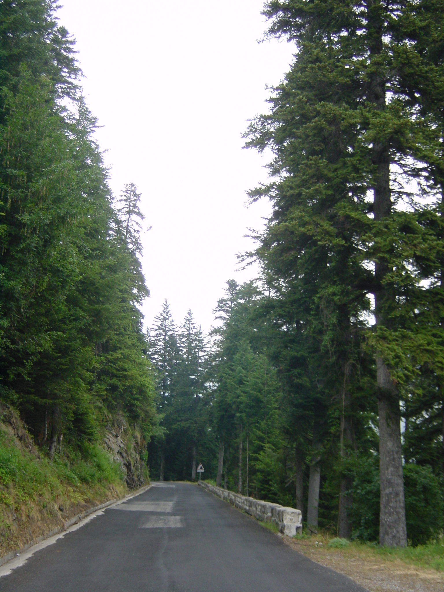 Photo France Mercantour 2003-07 49