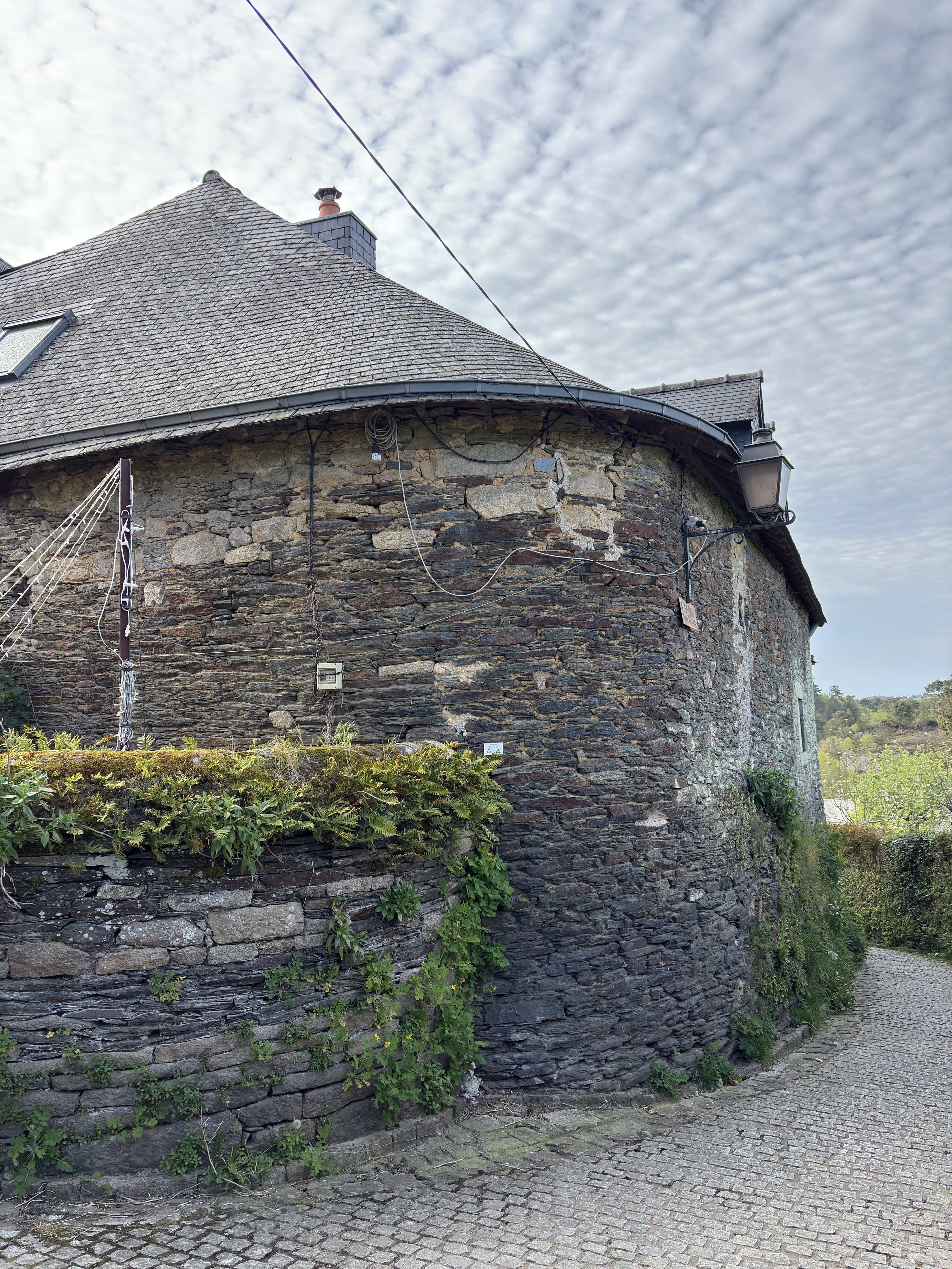 Photo France Rochefort en Terre 2026-04 73