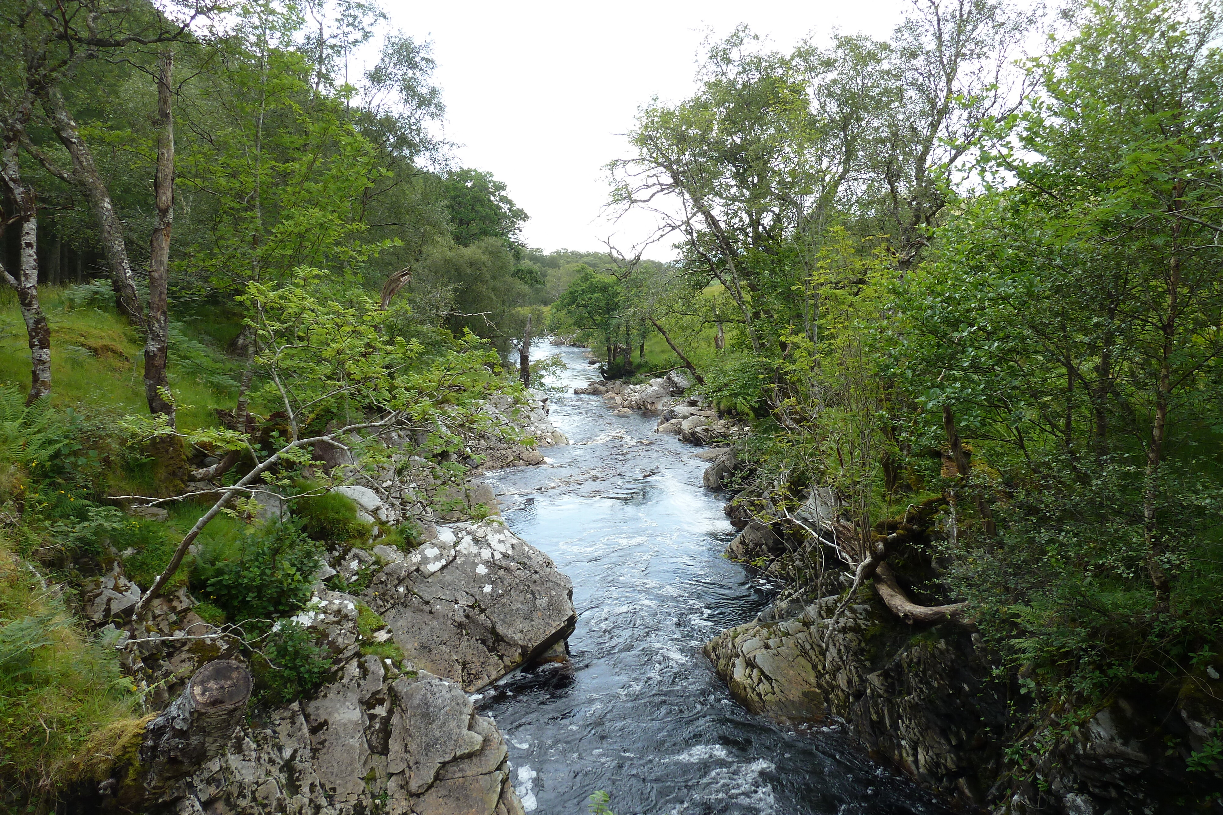 Photo Royaume-Uni Wester Ross 2011-07 129