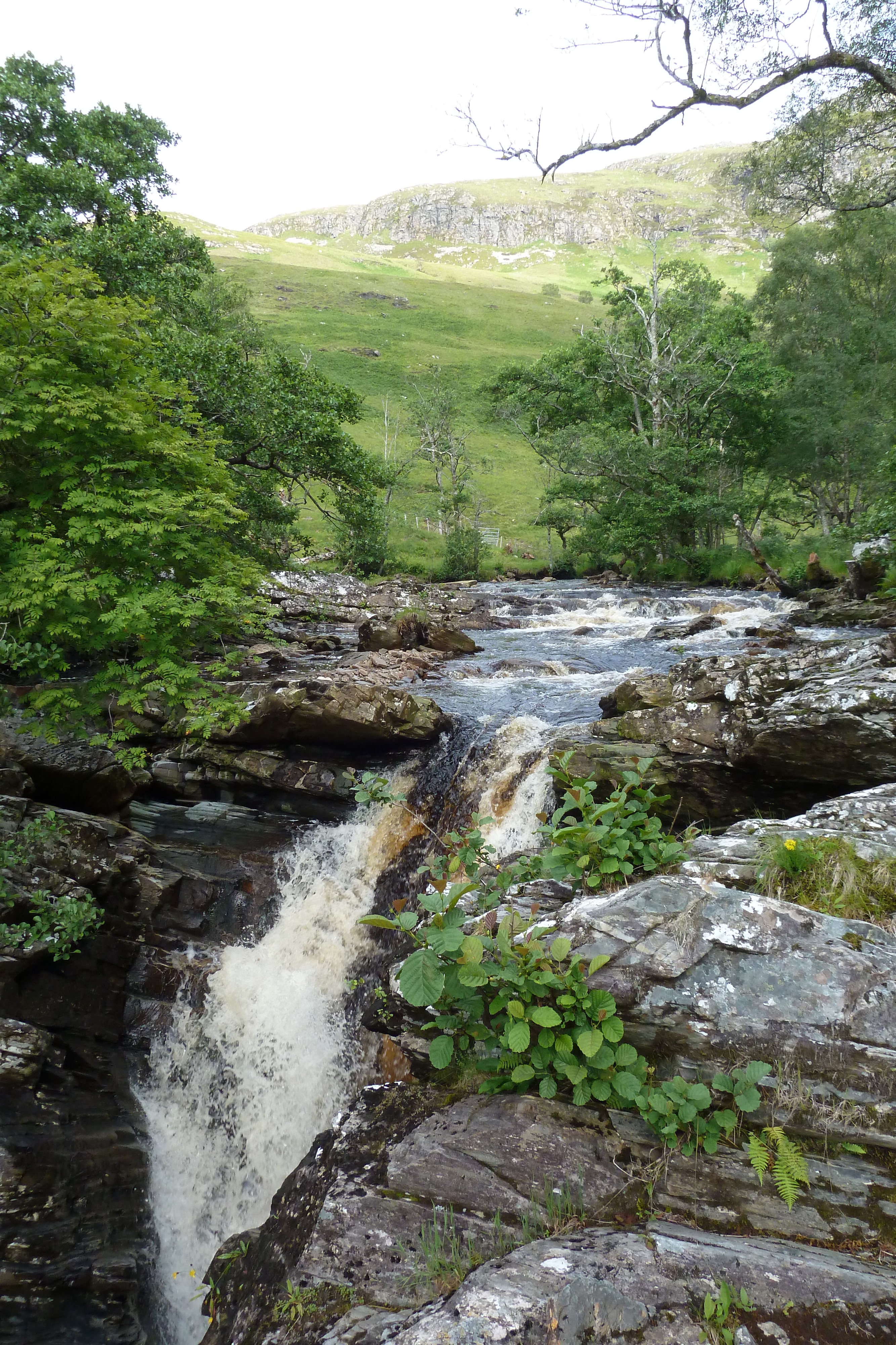 Photo Royaume-Uni Wester Ross 2011-07 140