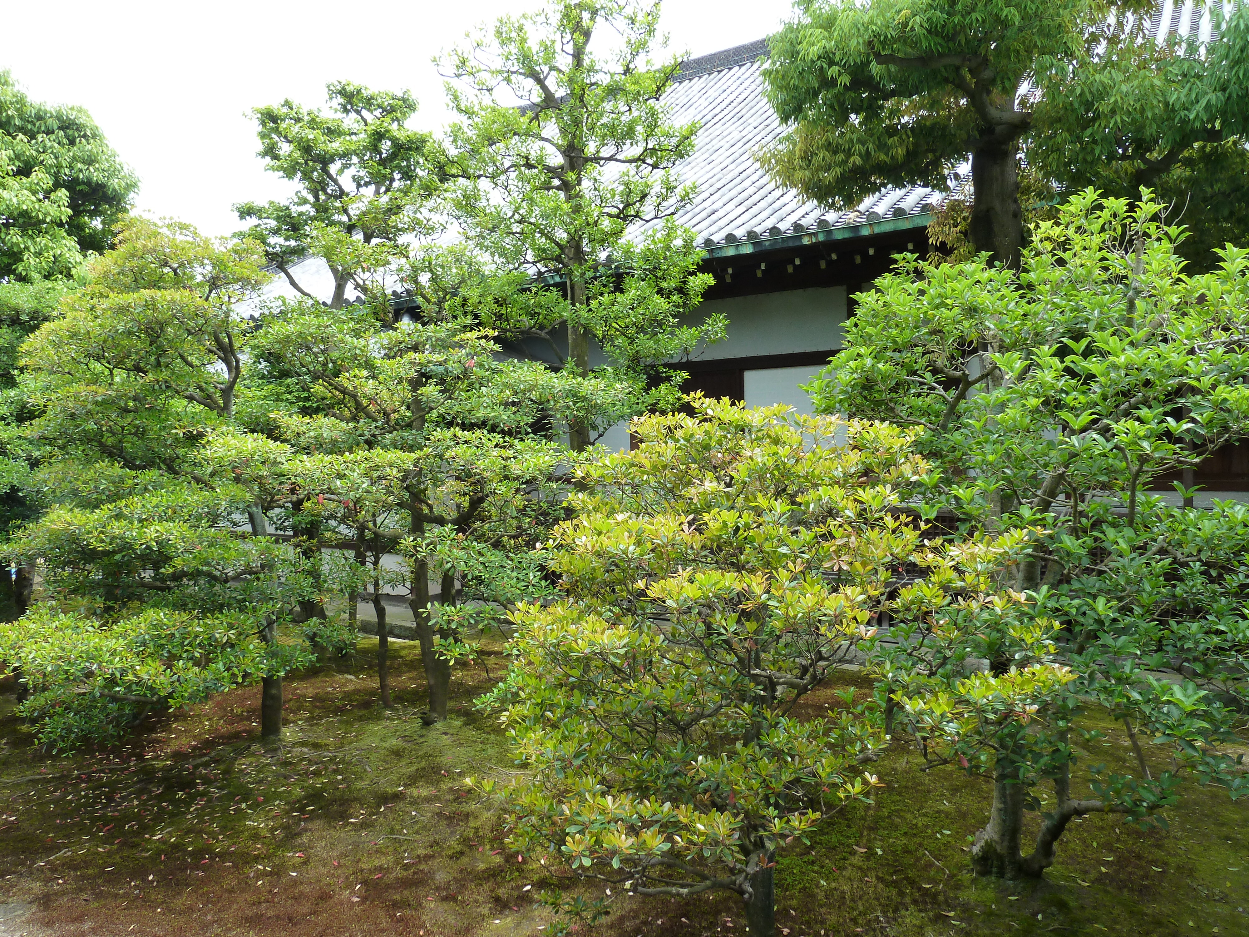 Photo Japon Kyoto Château Nijo 2010-06 32