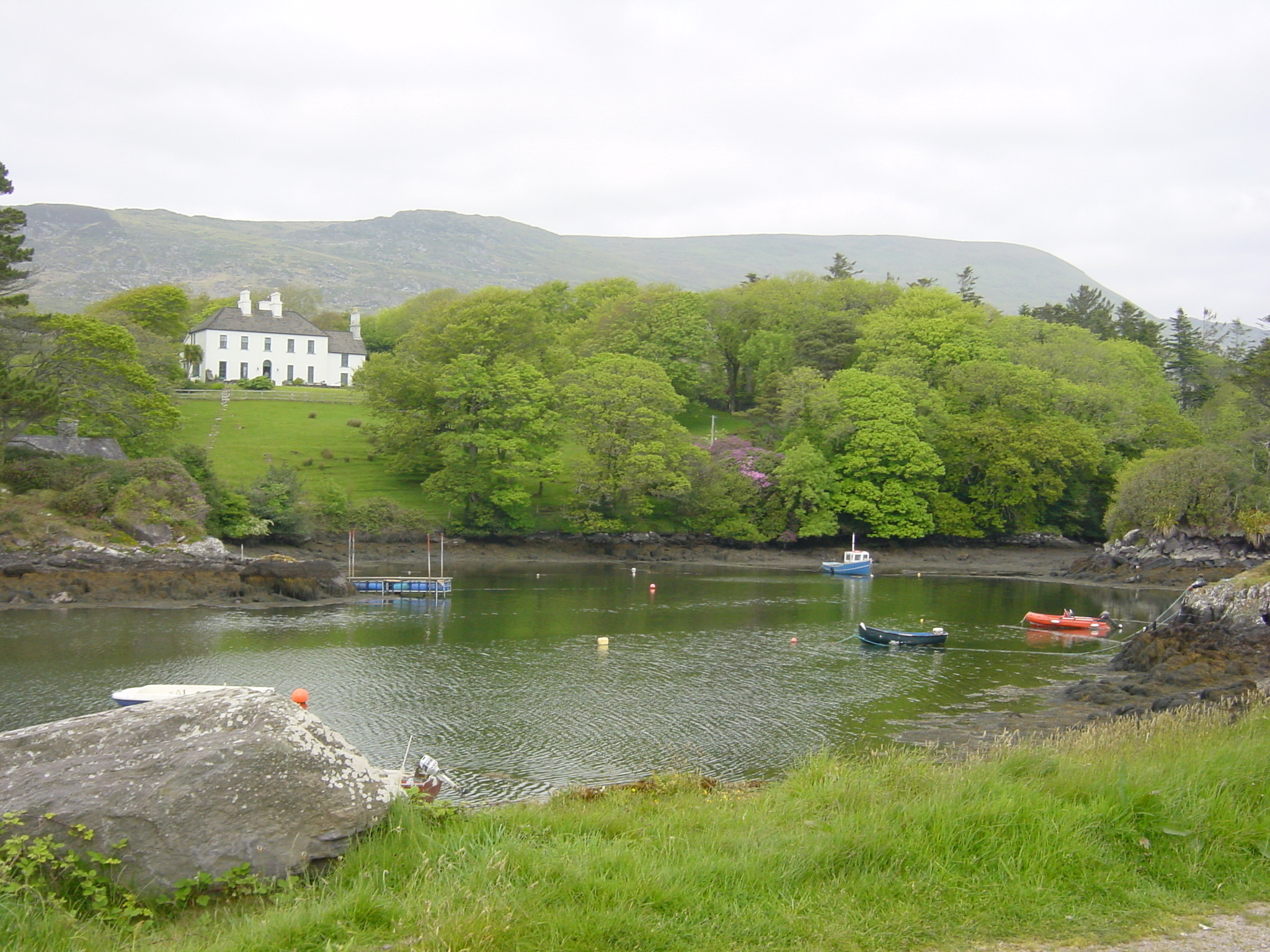 Photo Irlande Kerry Parknasilla 2004-05 46