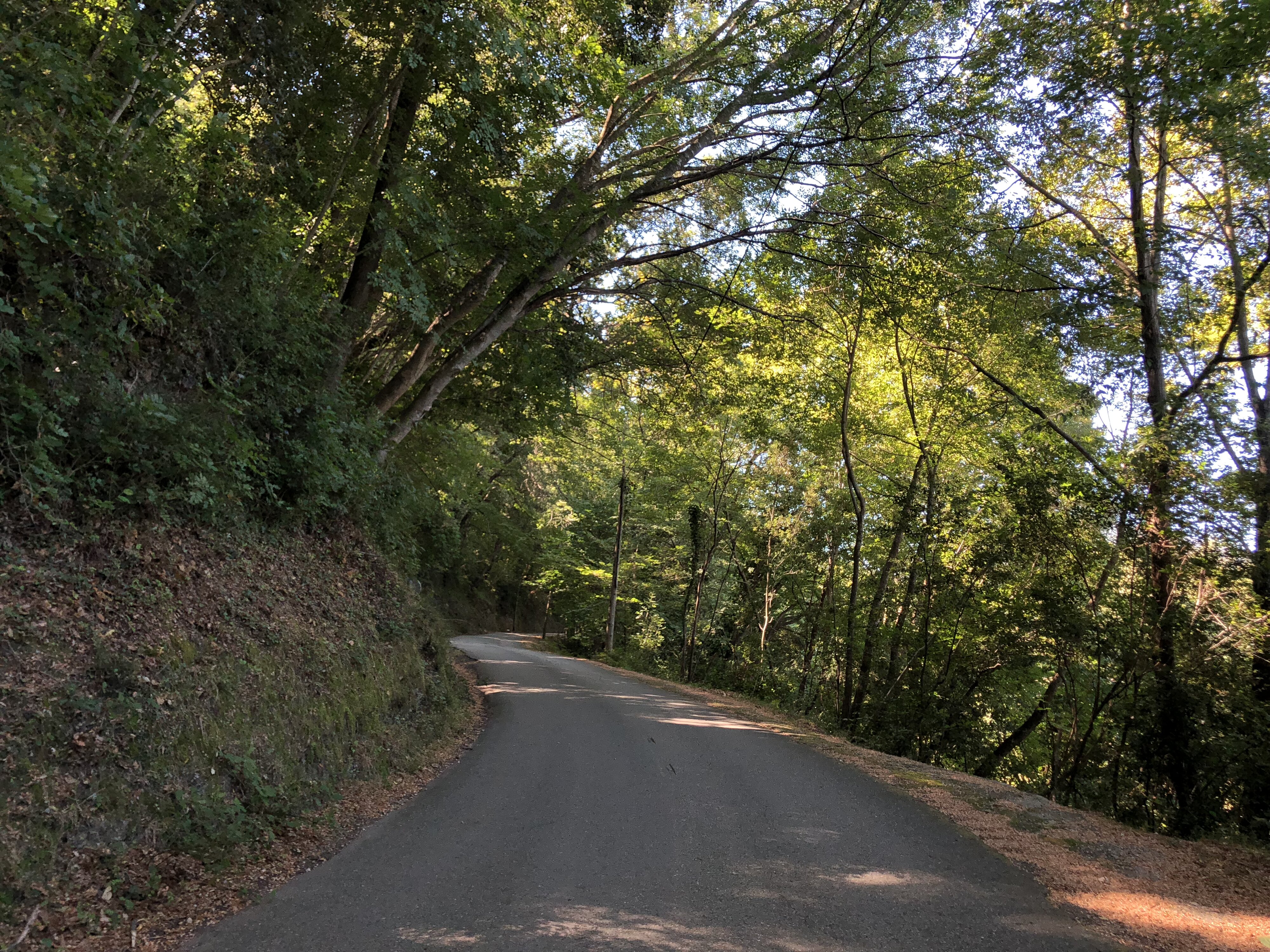 Photo France Corse San Giuliano 2018-09 0