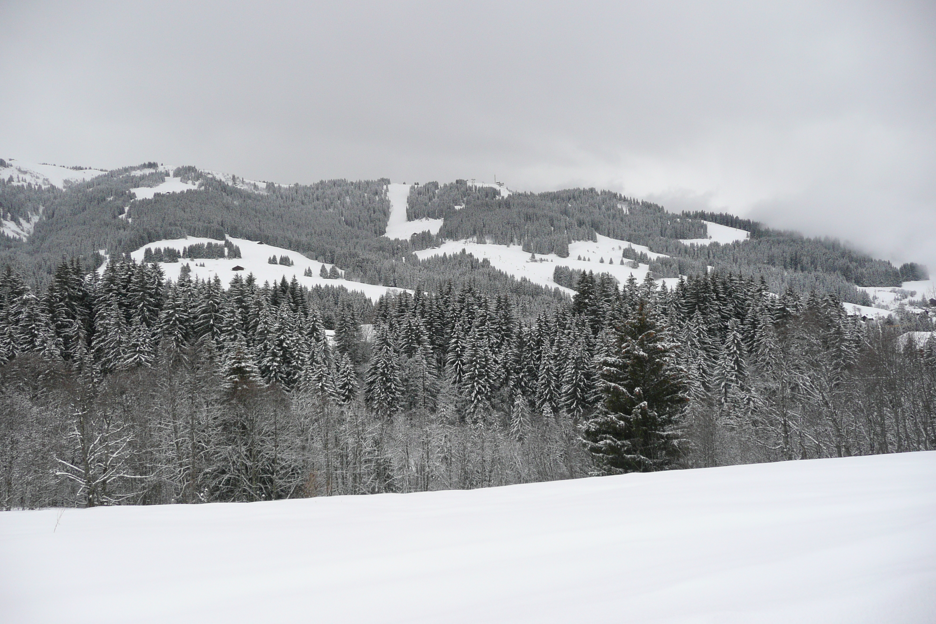 Photo France Megève Le Planay 2010-02 14