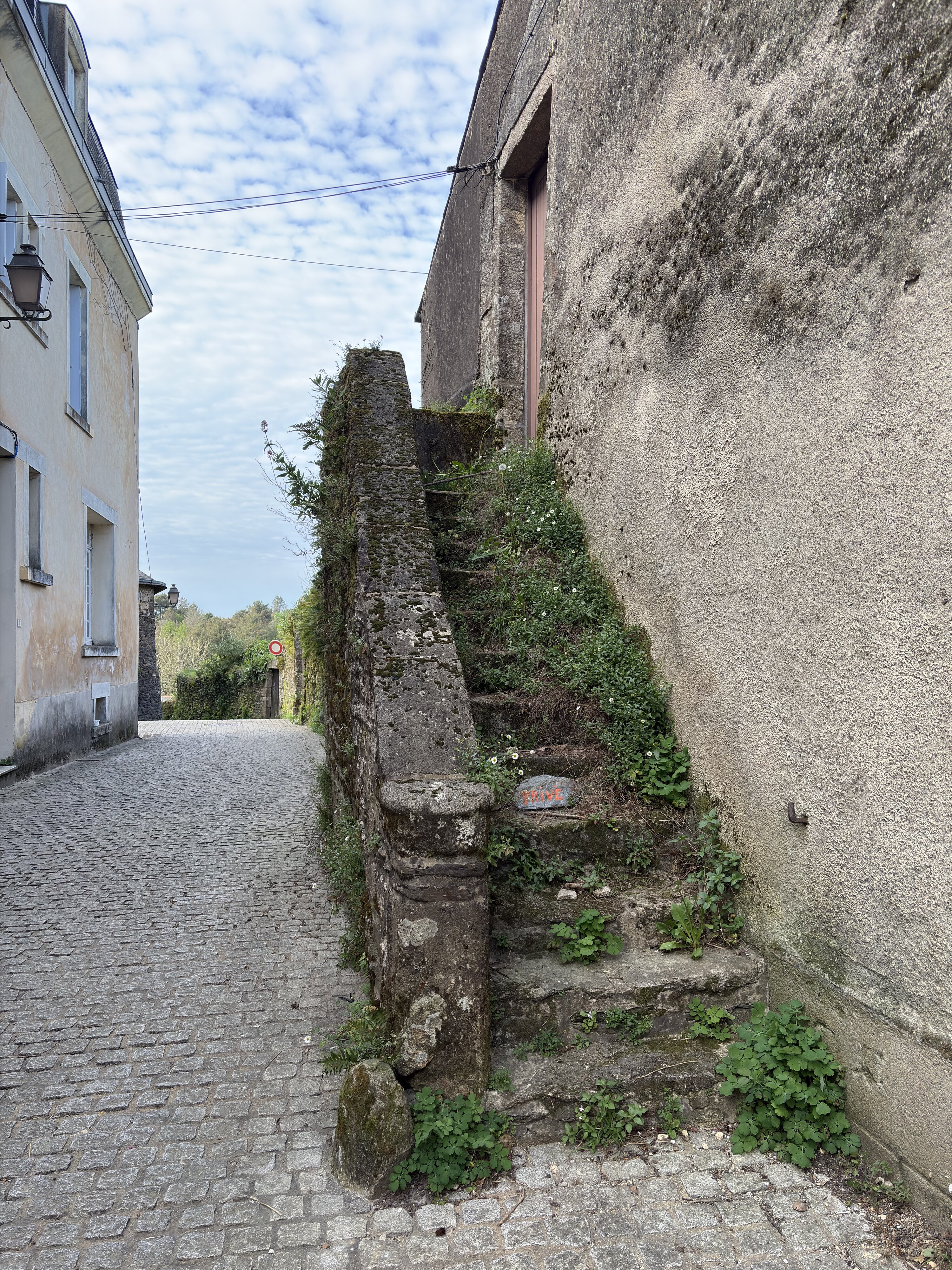 Photo France Rochefort en Terre 2026-04 3