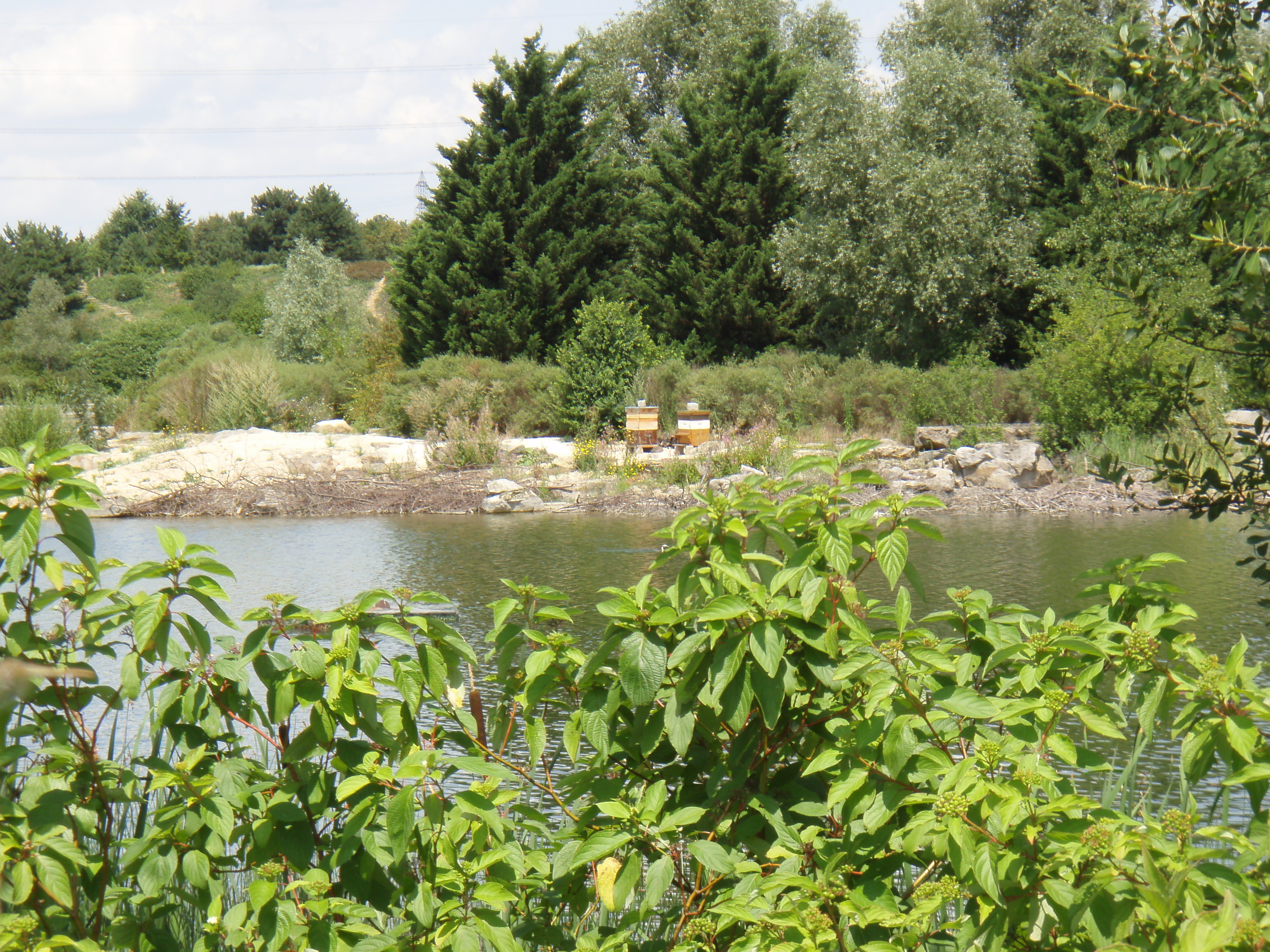 Photo France Villeneuve La Garenne Parc des Chanteraines 2007-07 4