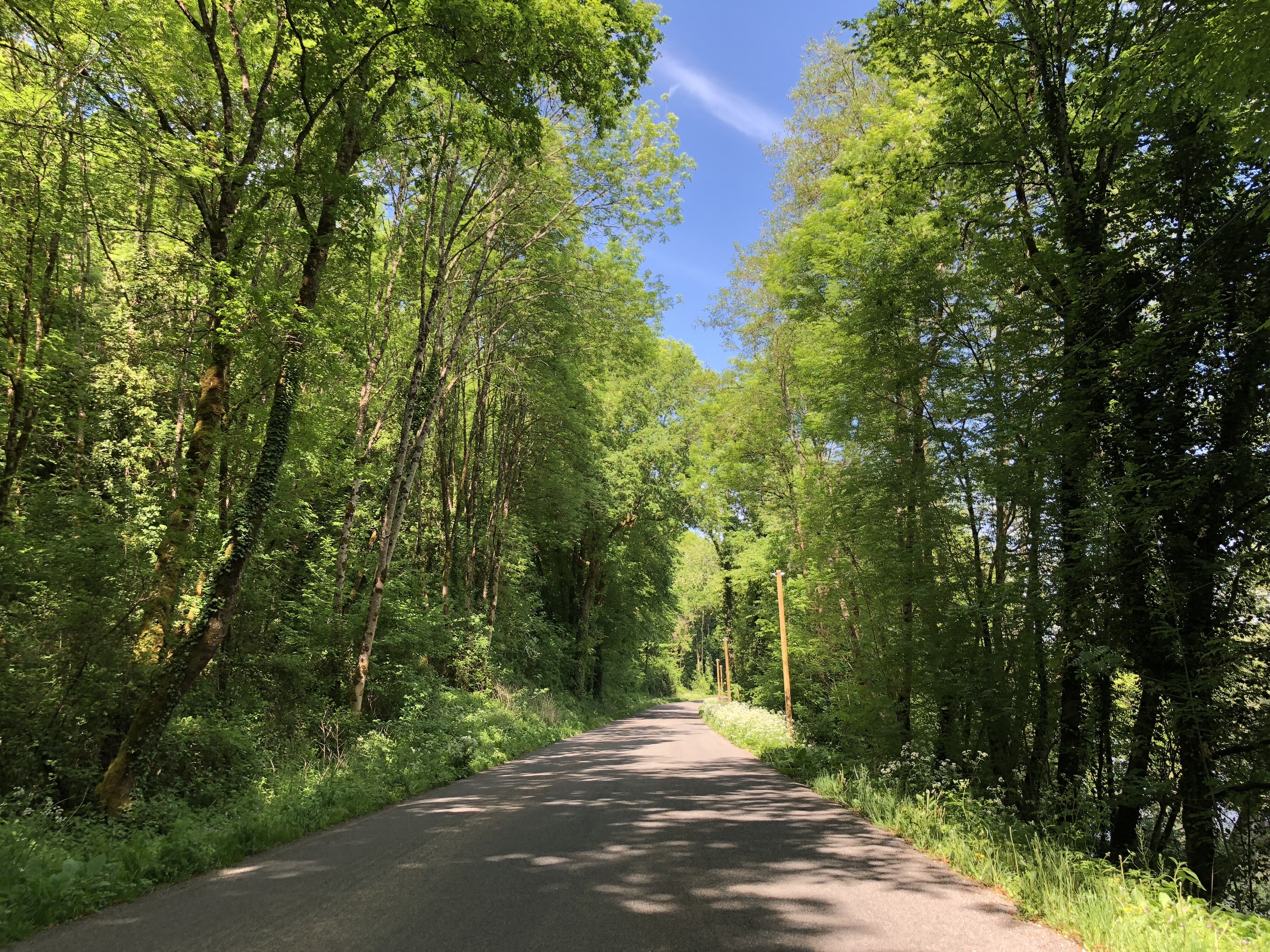 Photo France Floirac 2018-04 55