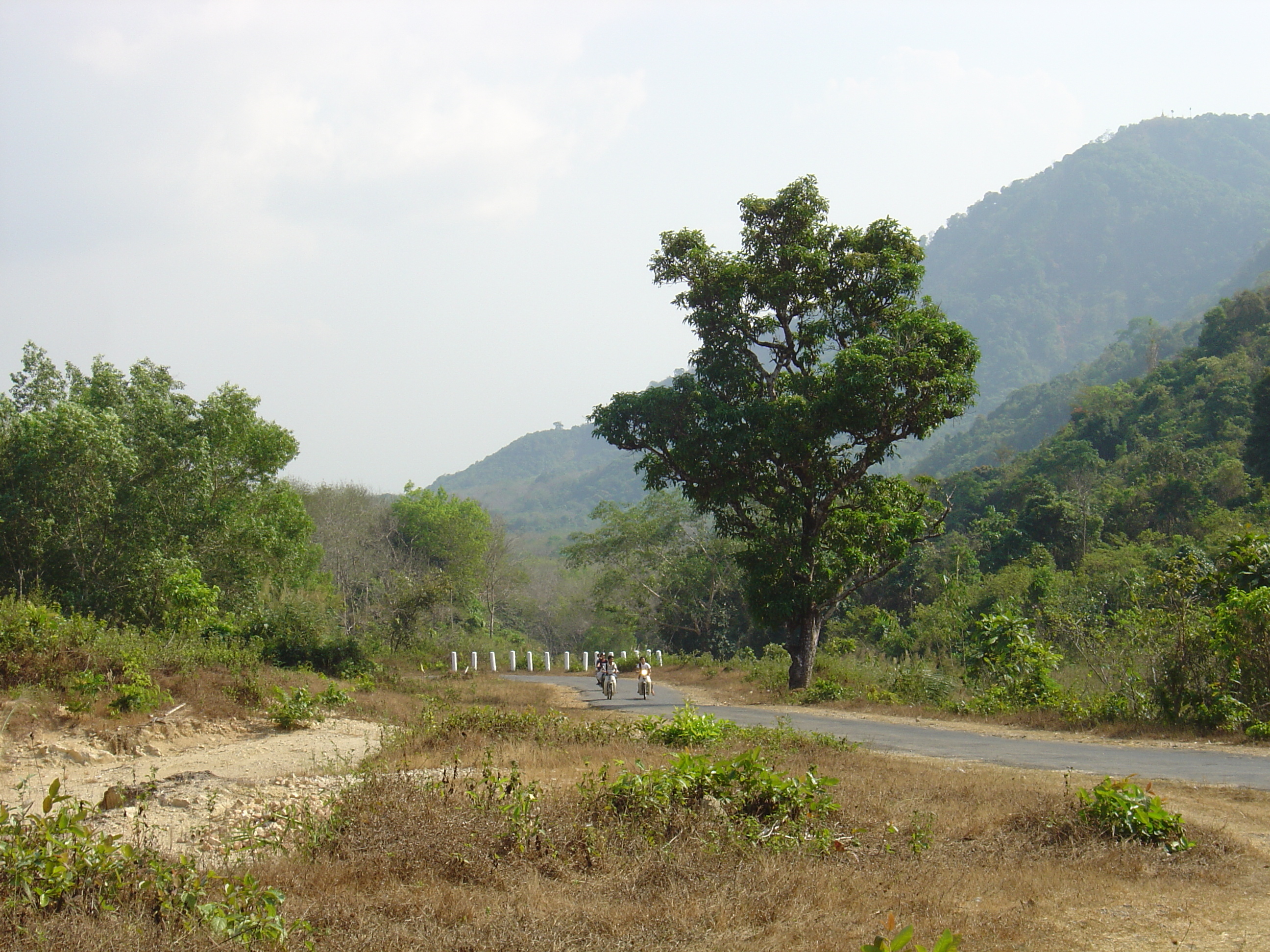 Photo Birmanie (Myanmar) Route de Dawei à Maungmagan 2005-01 30