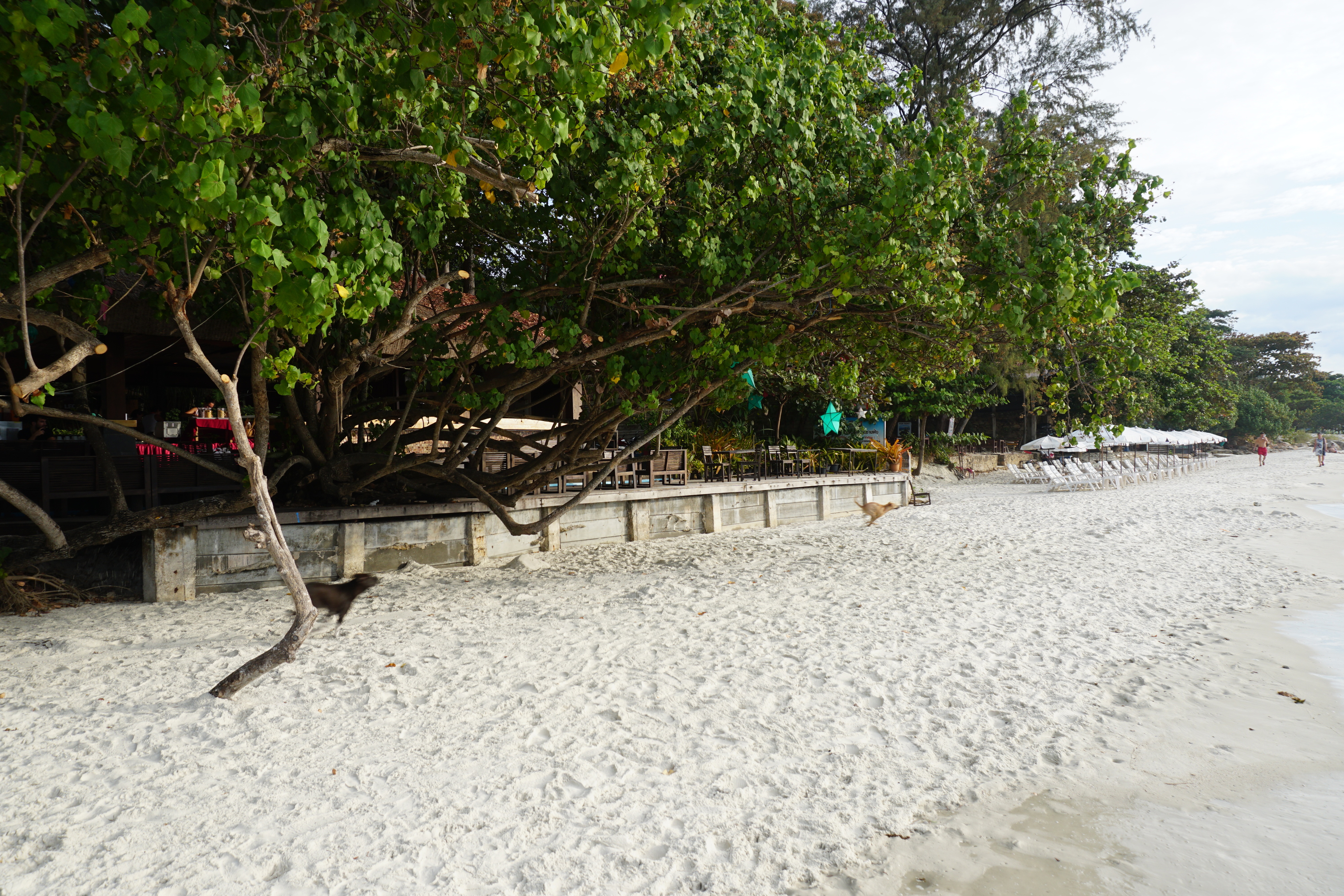 Photo Thaïlande Ko Samet 2016-12 9