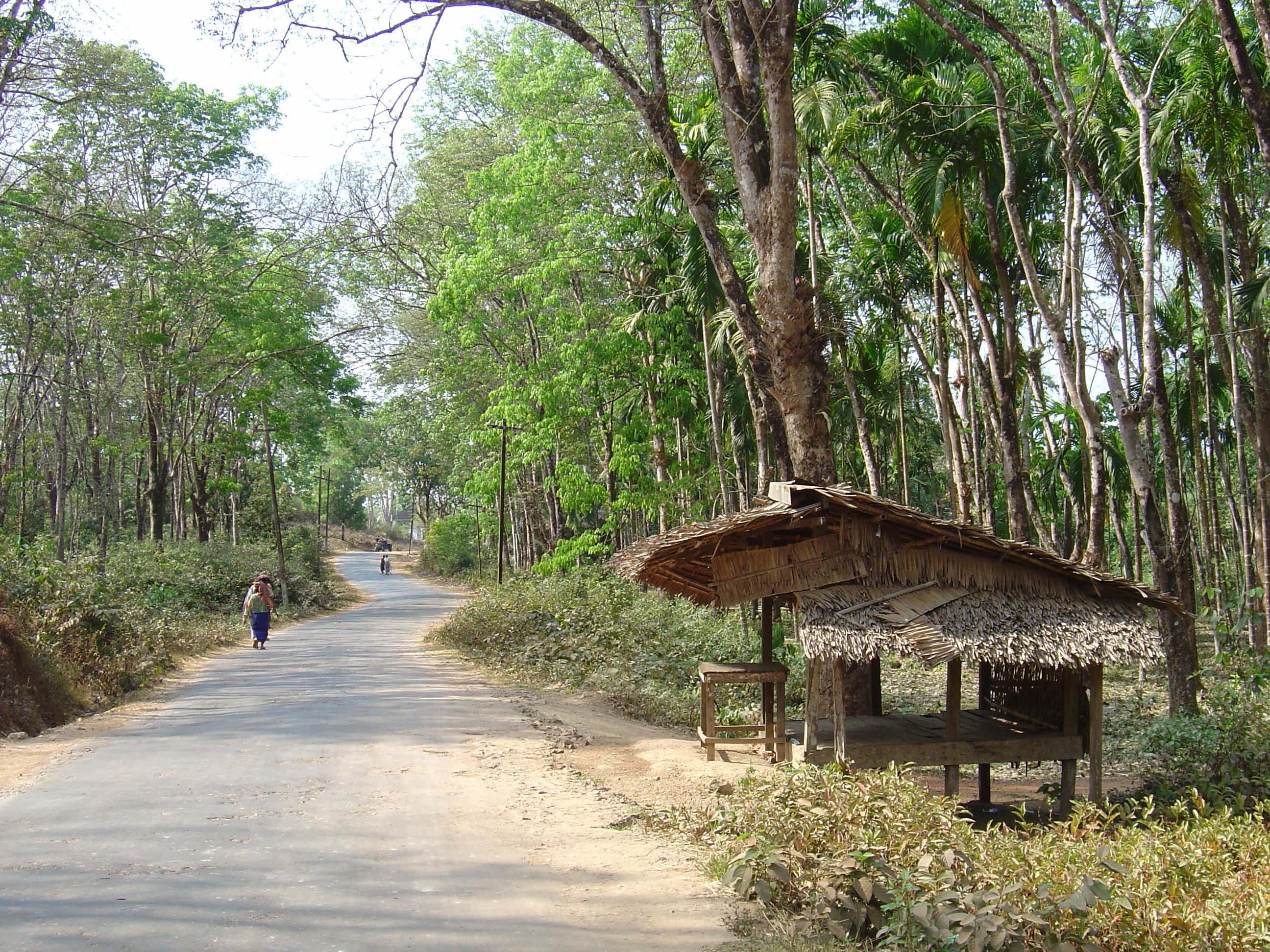 Photo Birmanie (Myanmar) Route de Dawei à Maungmagan 2005-01 8