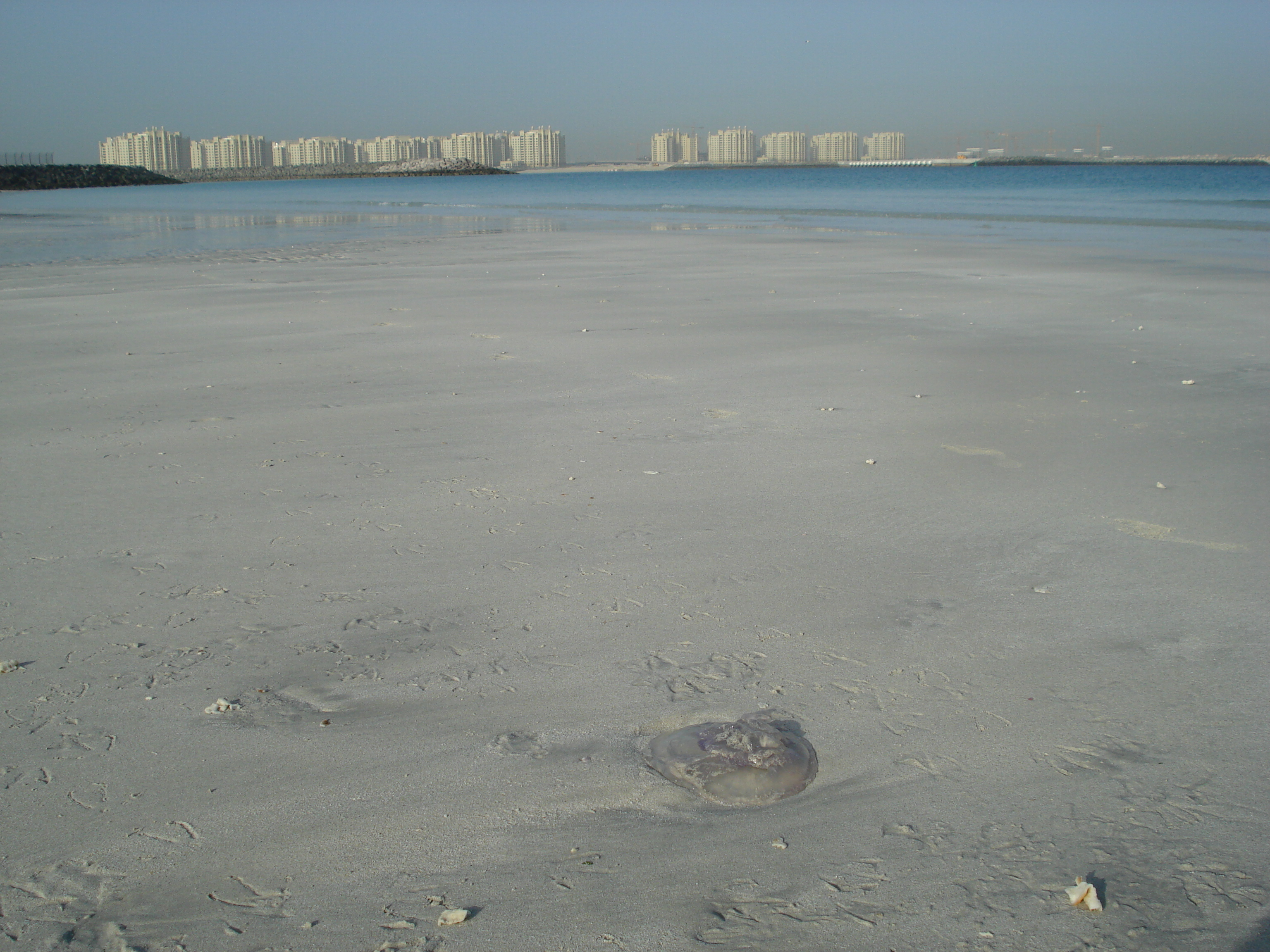 Photo Émirats arabes unis Dubai Plage de Jumeira 2007-03 16