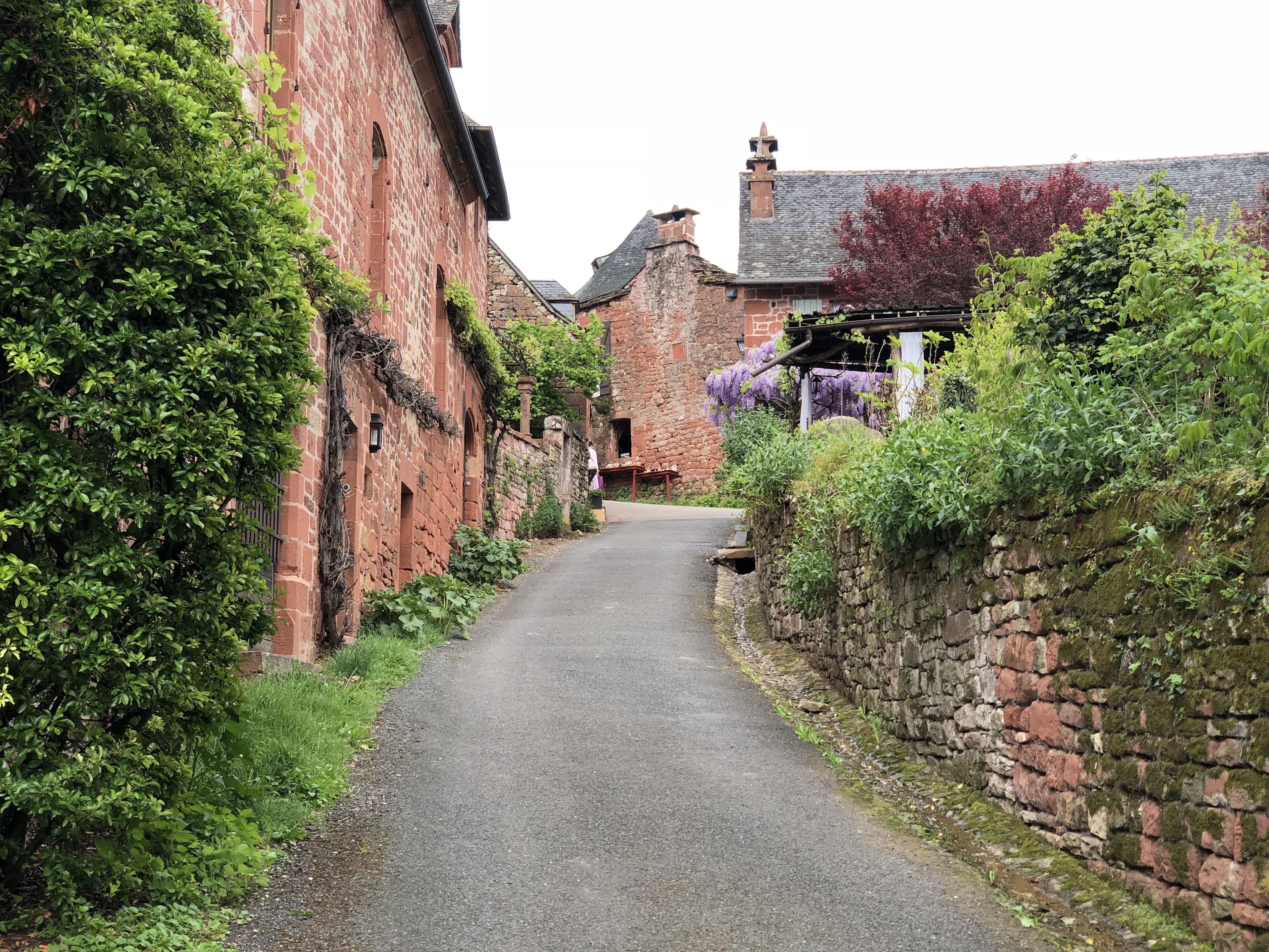Photo France Collonges la Rouge 2018-04 122