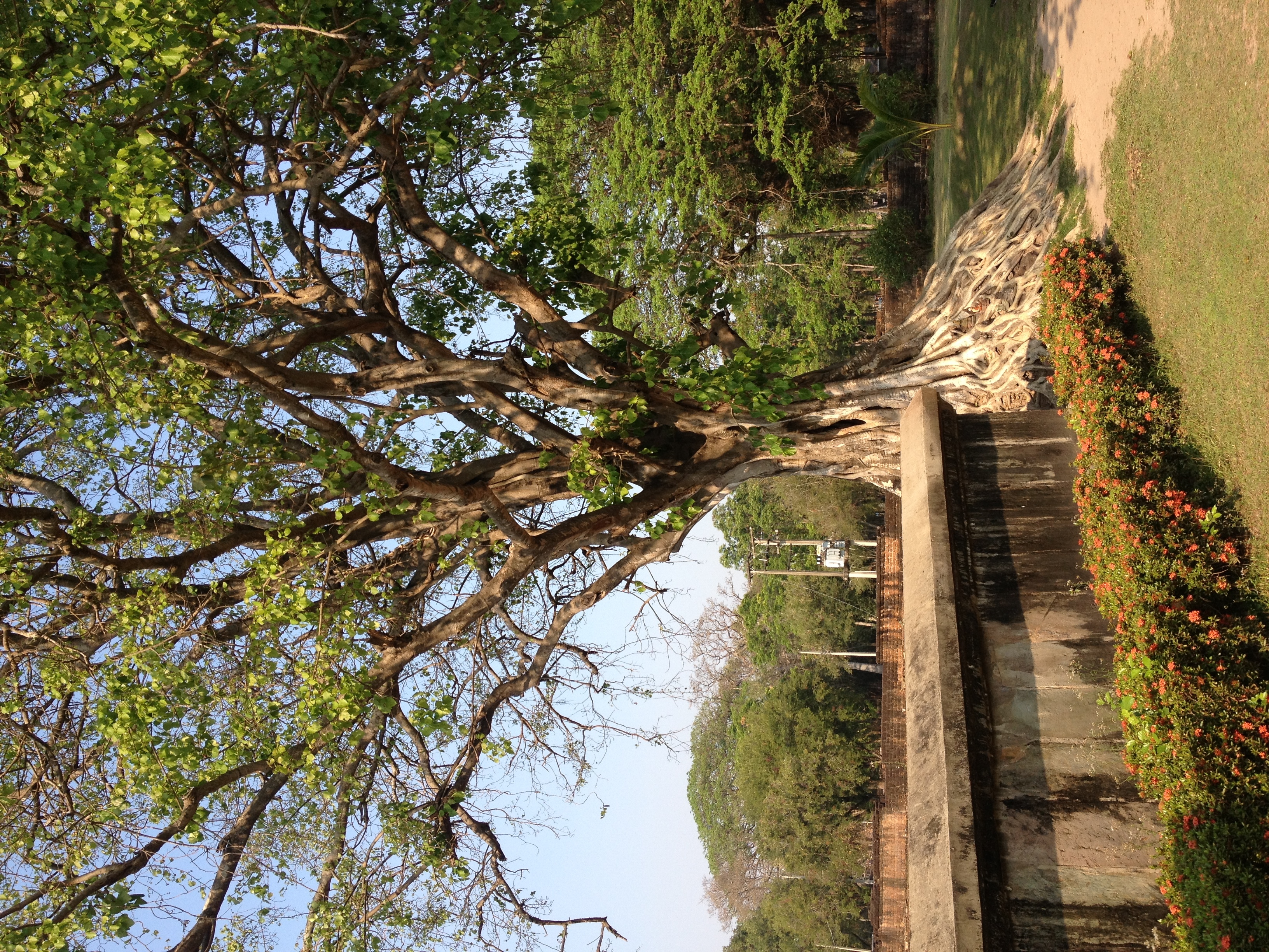Photo Thaïlande Sukhothai 2014-02 37