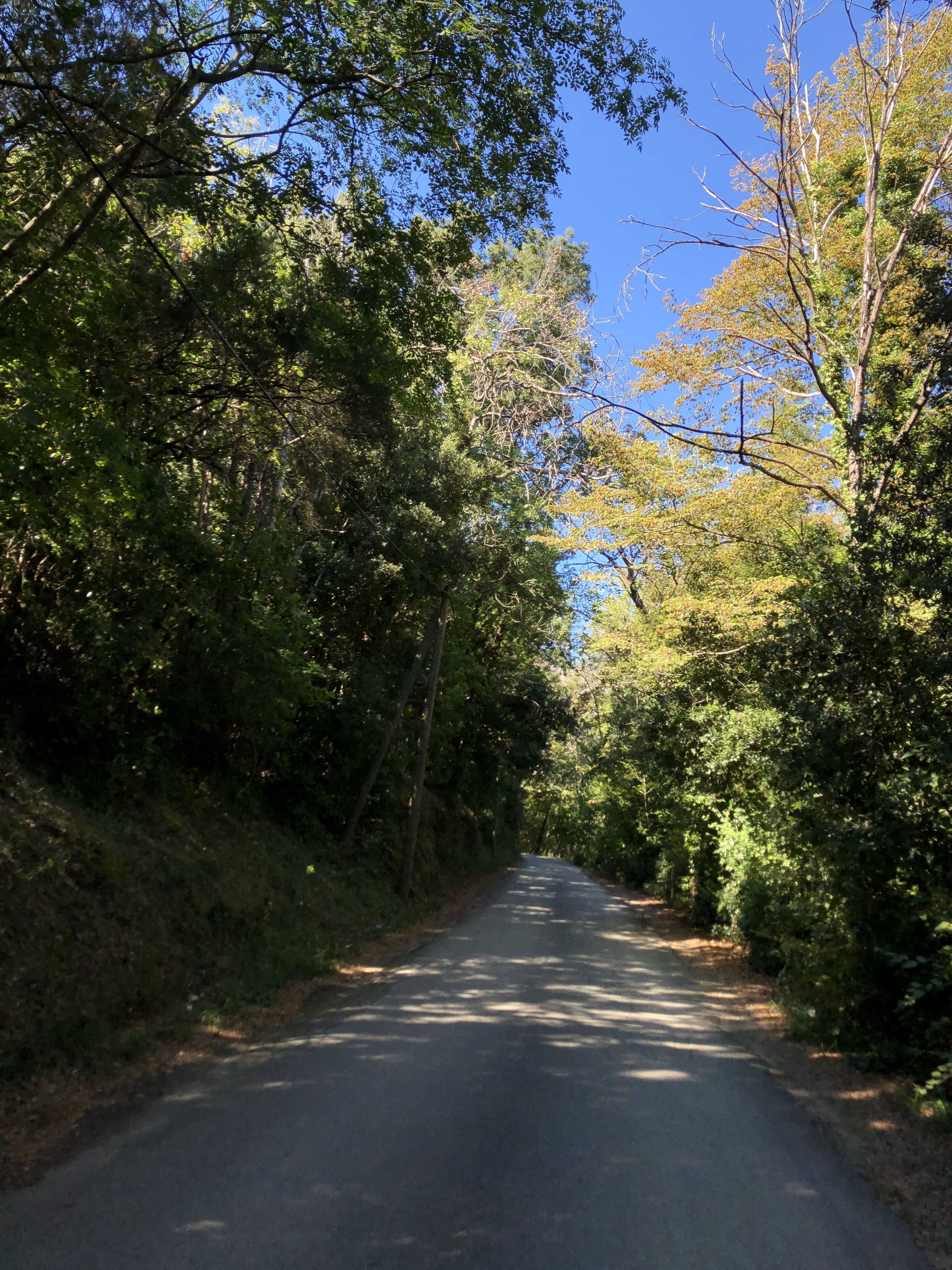 Photo France Corse San Giuliano 2018-09 30