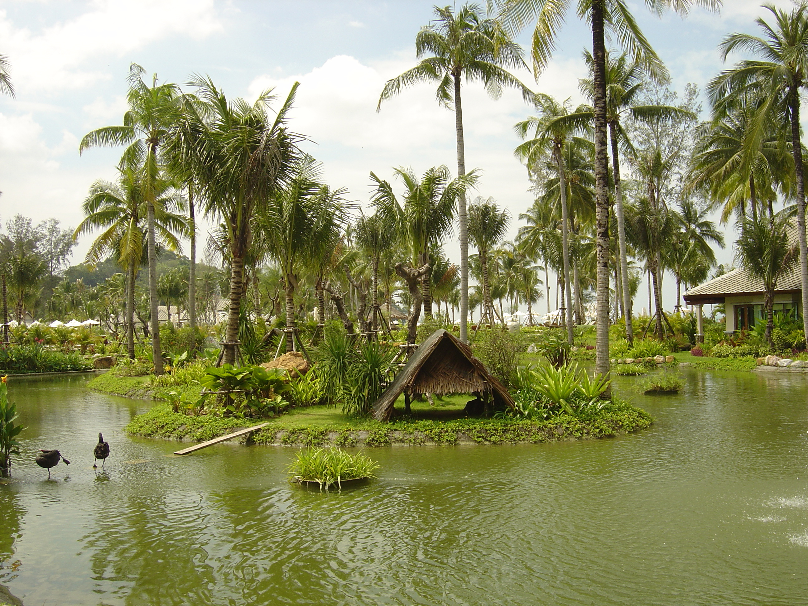 Photo Thaïlande Khao Lak Meridien Khao Lak Hotel 2005-12 15