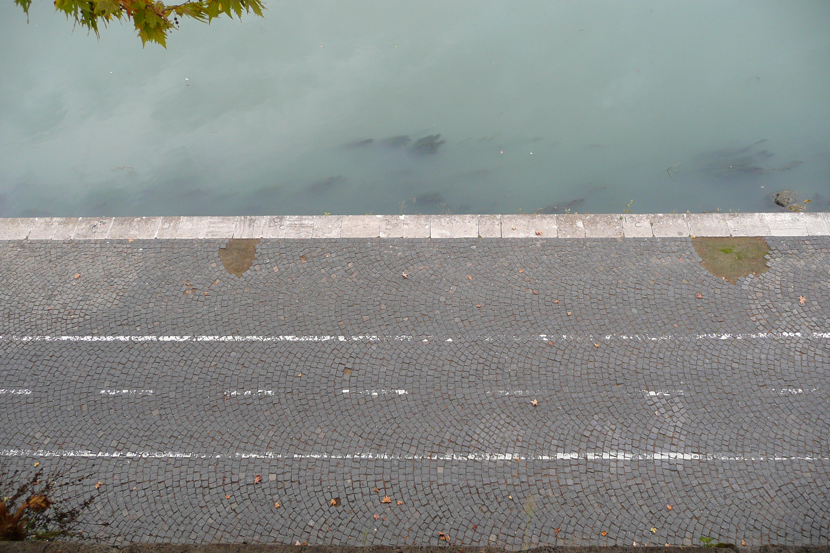 Photo Italie Rome Lungotevere Gianicolense 2007-11 24