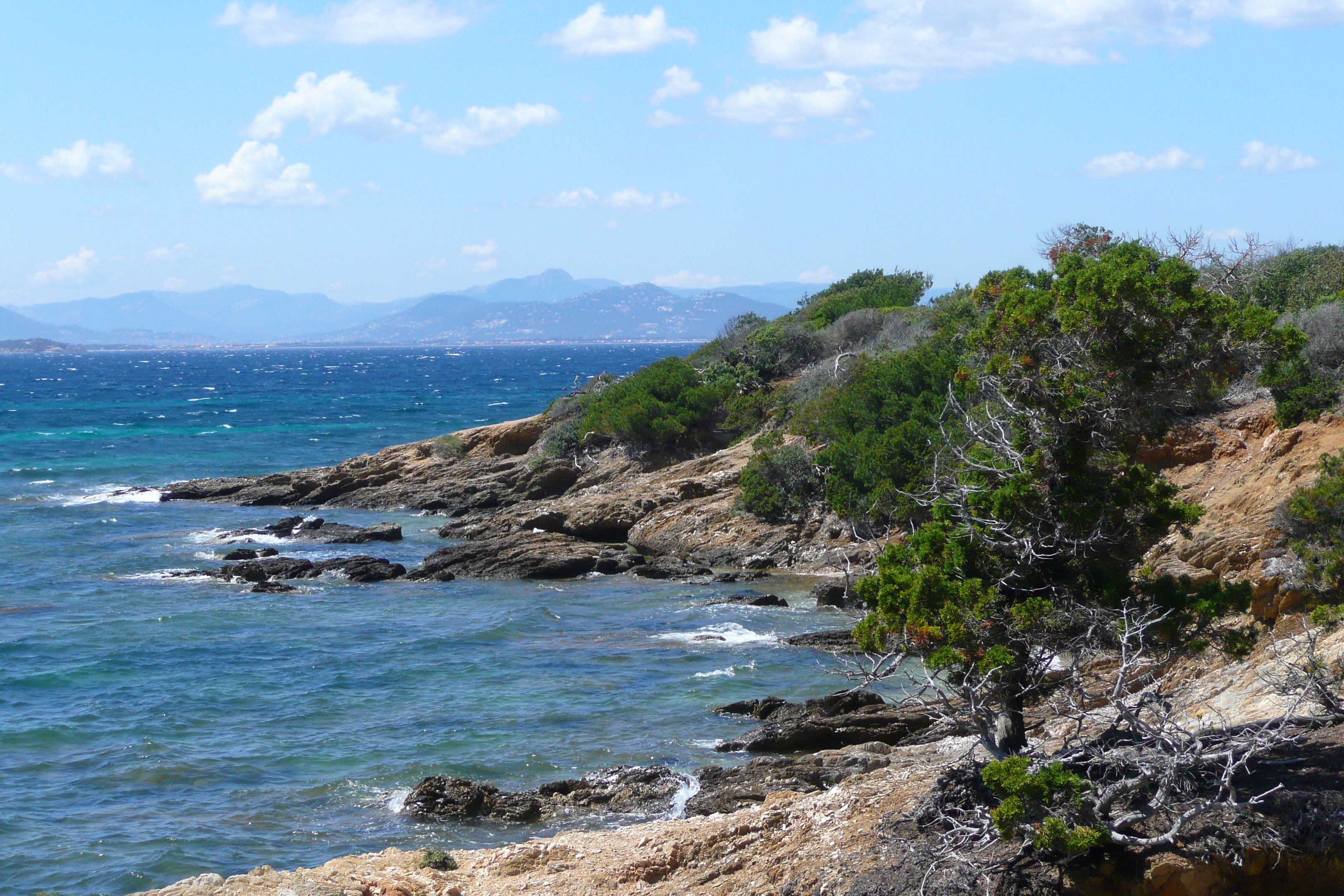 Photo France Ile de Porquerolles Plage du Lequin 2008-05 10