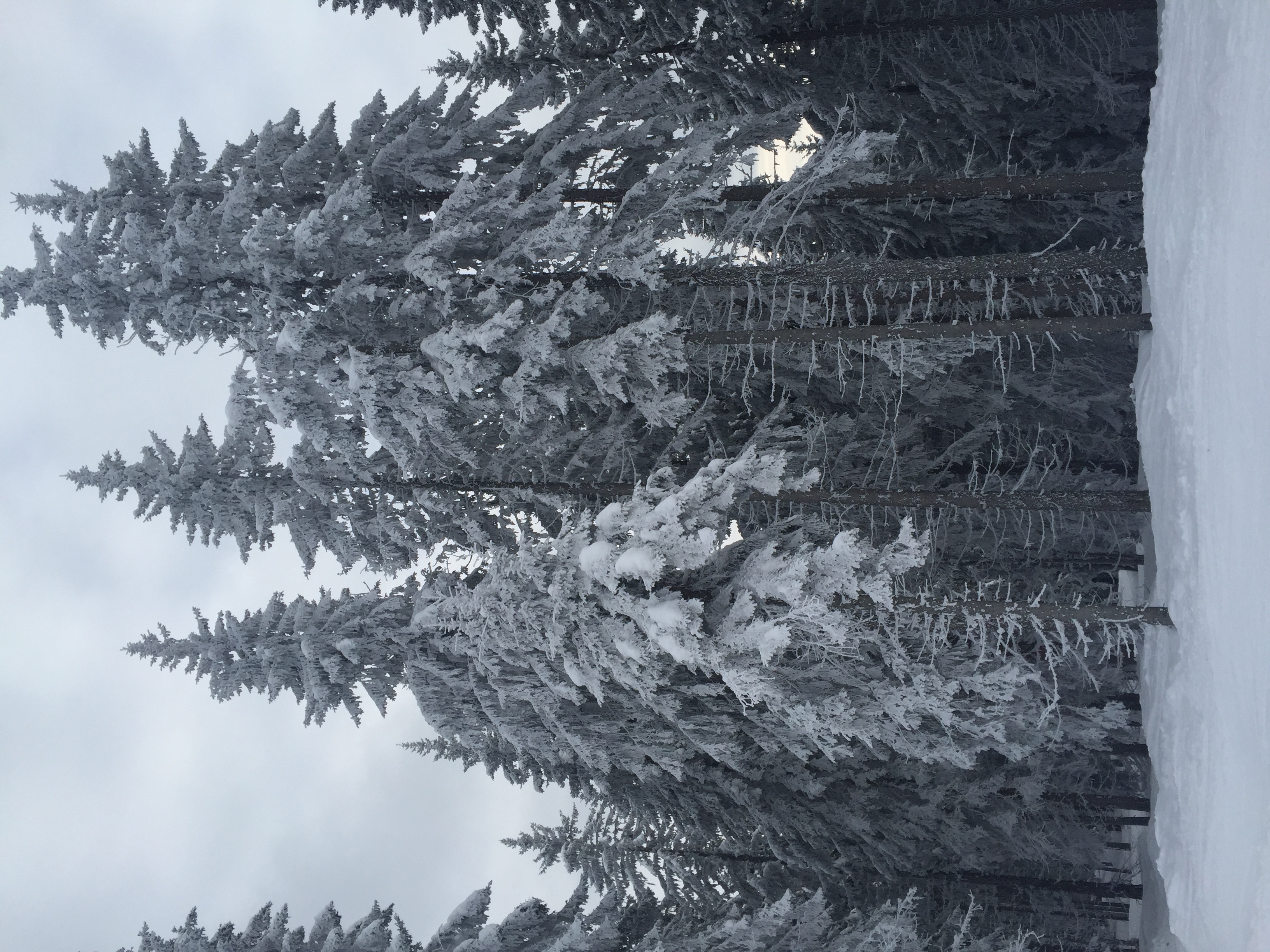 Photo France Megève 2016-02 96