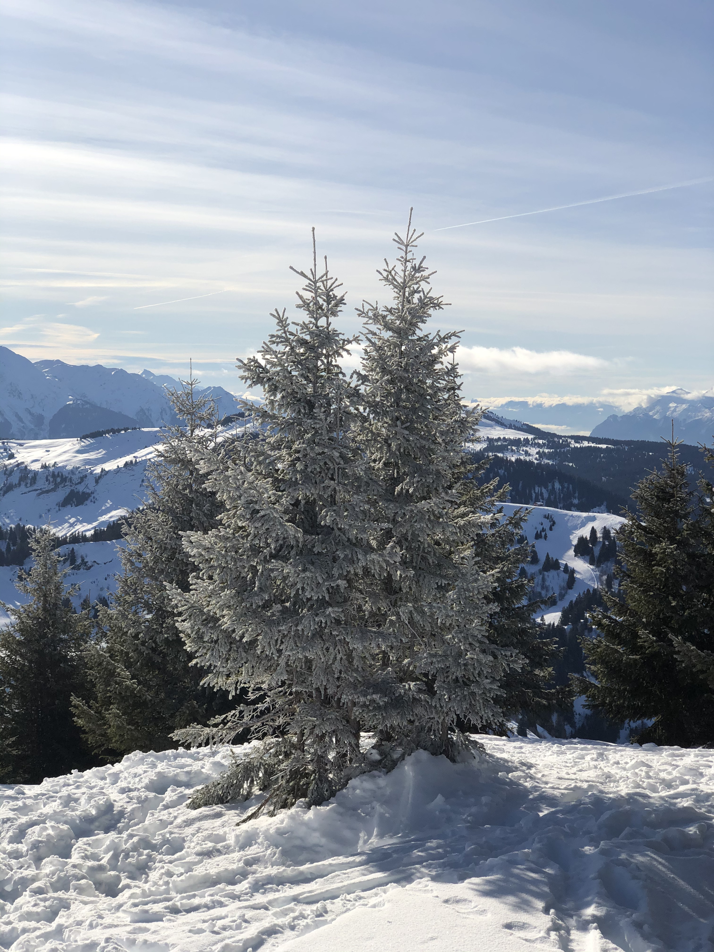 Photo France Praz sur Arly 2019-12 476