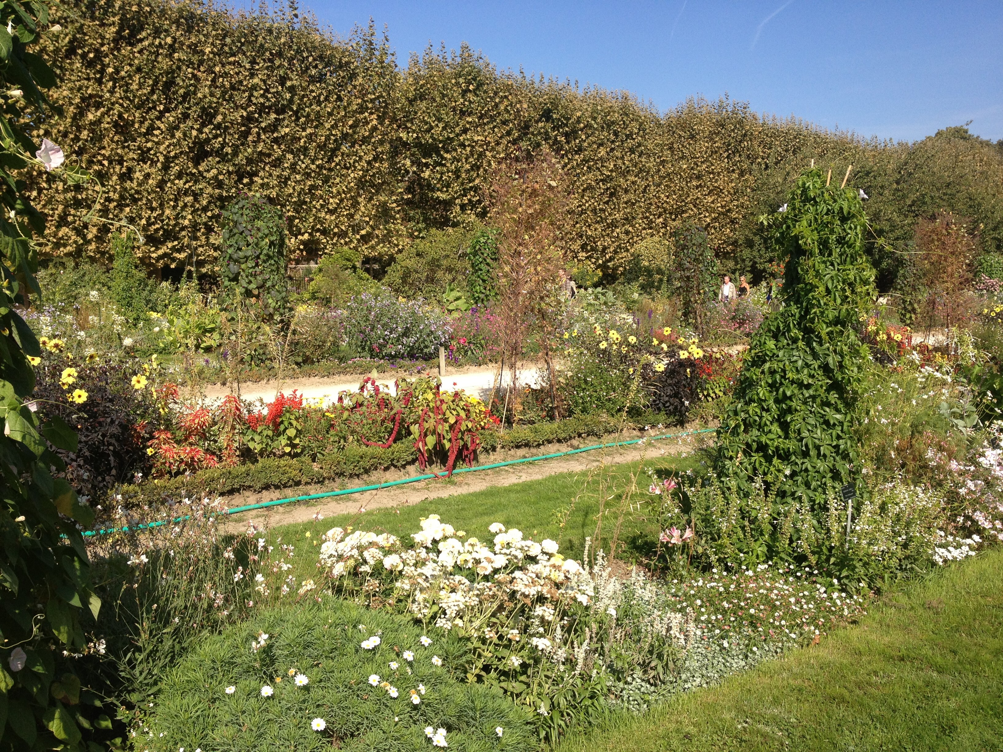 Photo France Paris Jardin des Plantes 2014-09 19