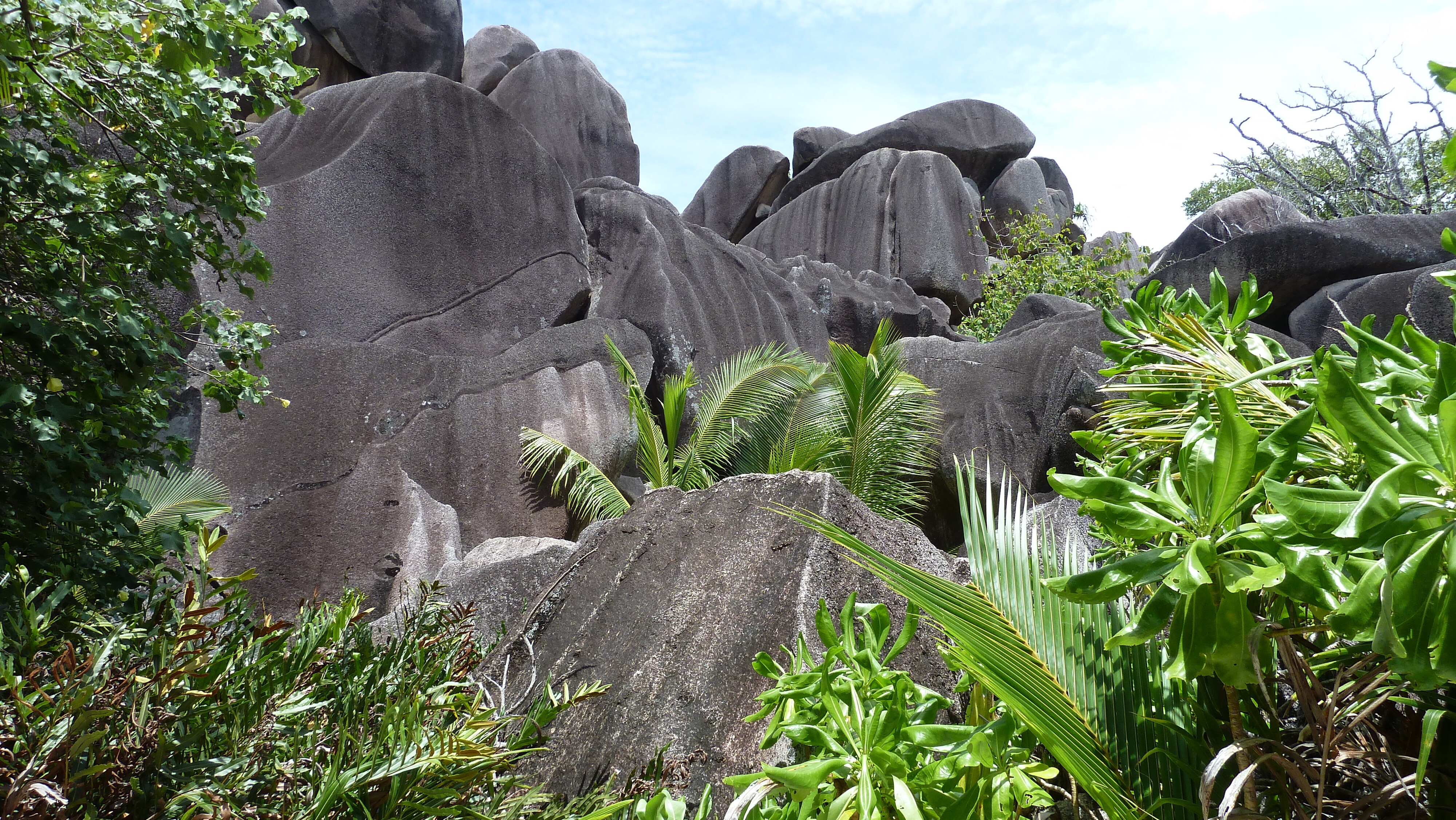Photo Seychelles 2011-10 143