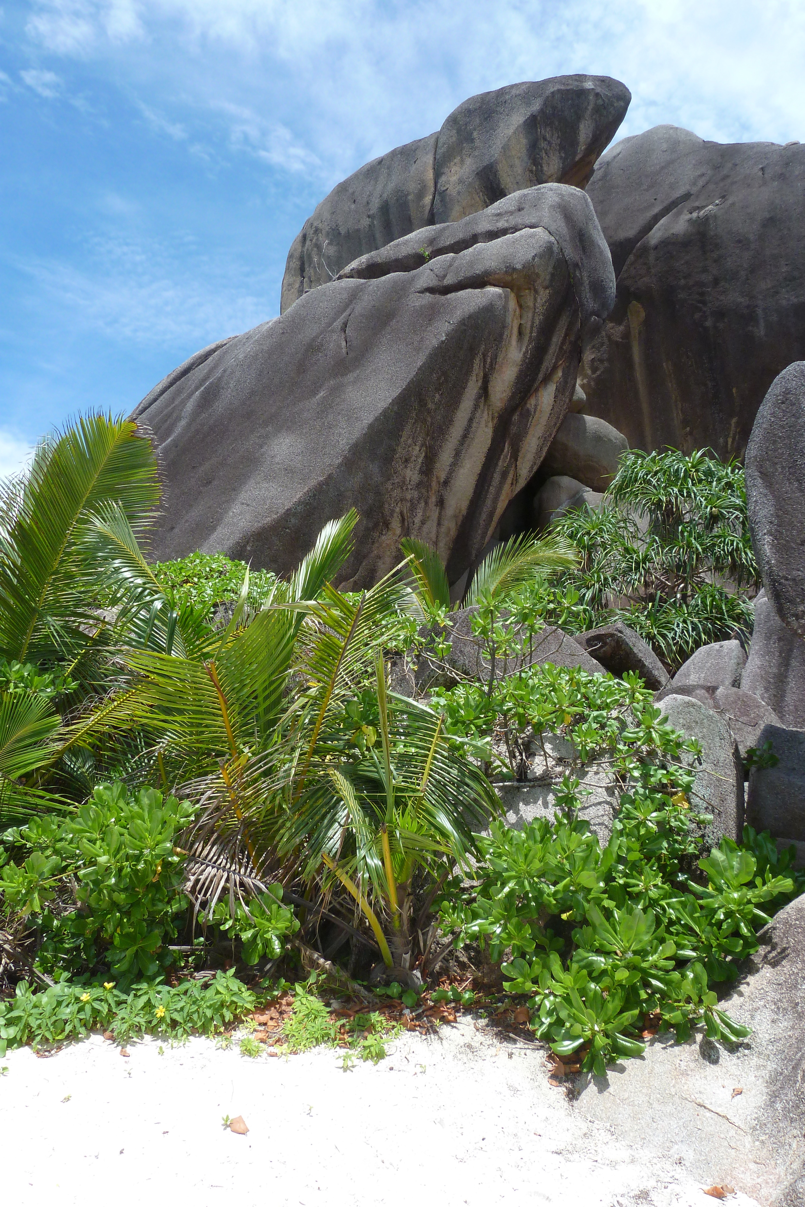 Photo Seychelles 2011-10 181