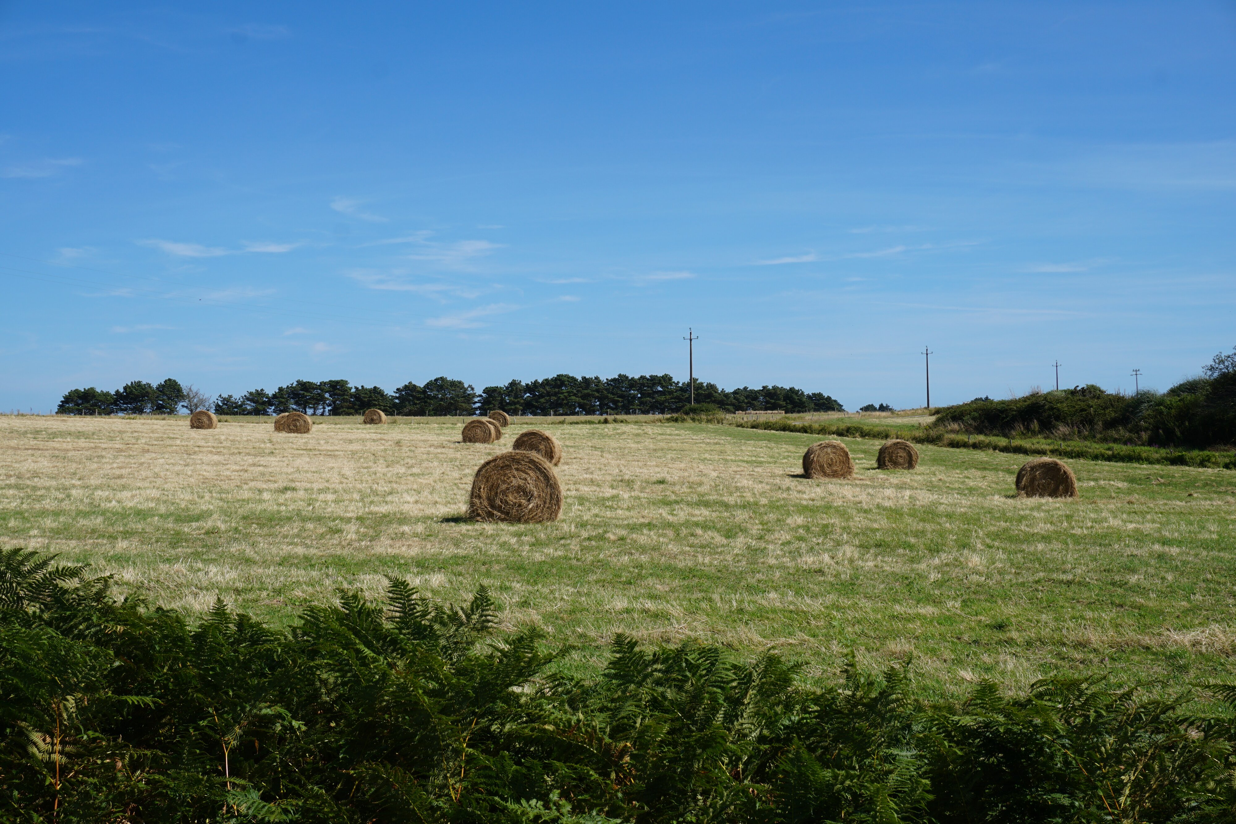 Photo France Belle-Ile 2016-08 227