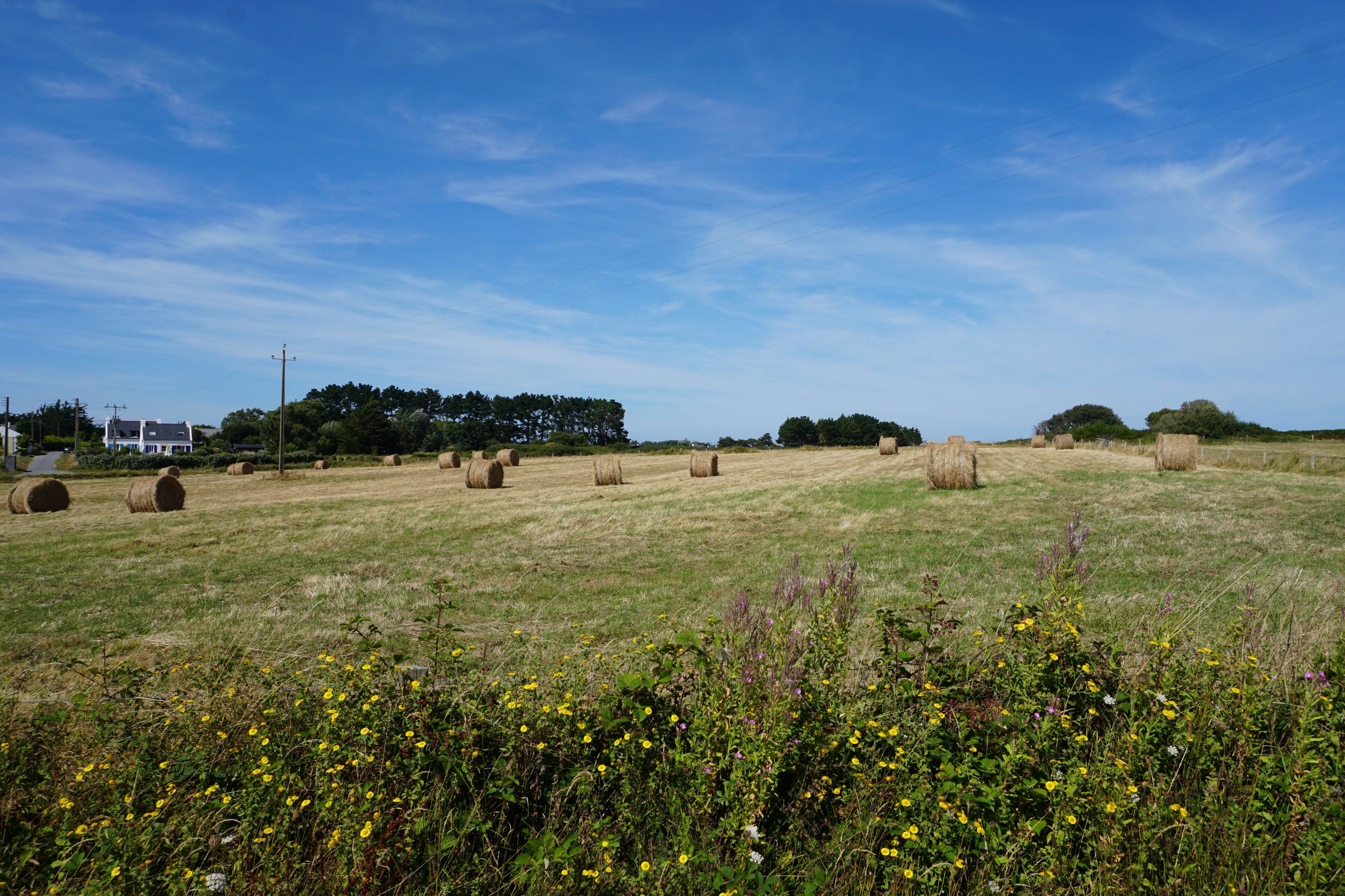Photo France Belle-Ile 2016-08 237