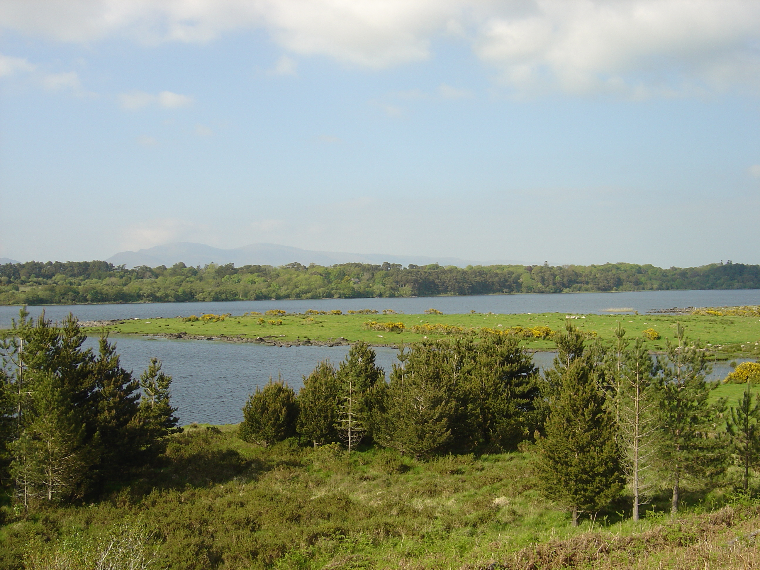 Photo Irlande Kerry Lac Caragh 2004-05 40