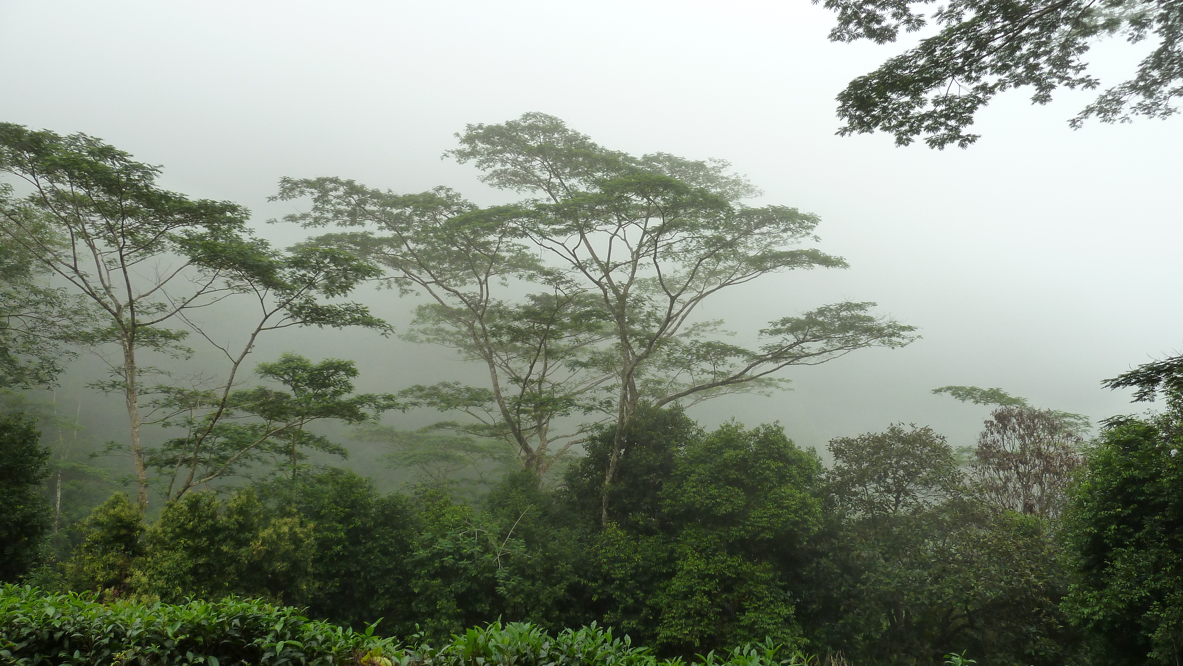 Photo Seychelles 2011-10 75